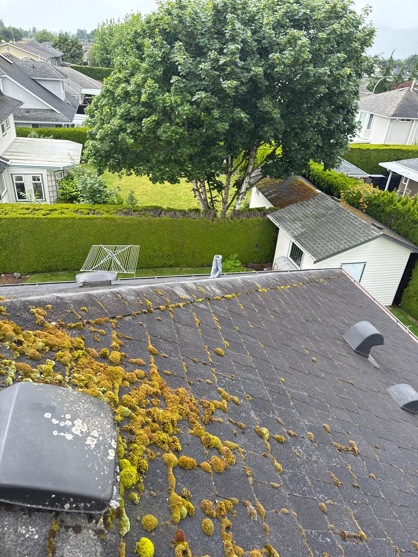 Residential Reroof Shingle by Top Notch Roofing Inc