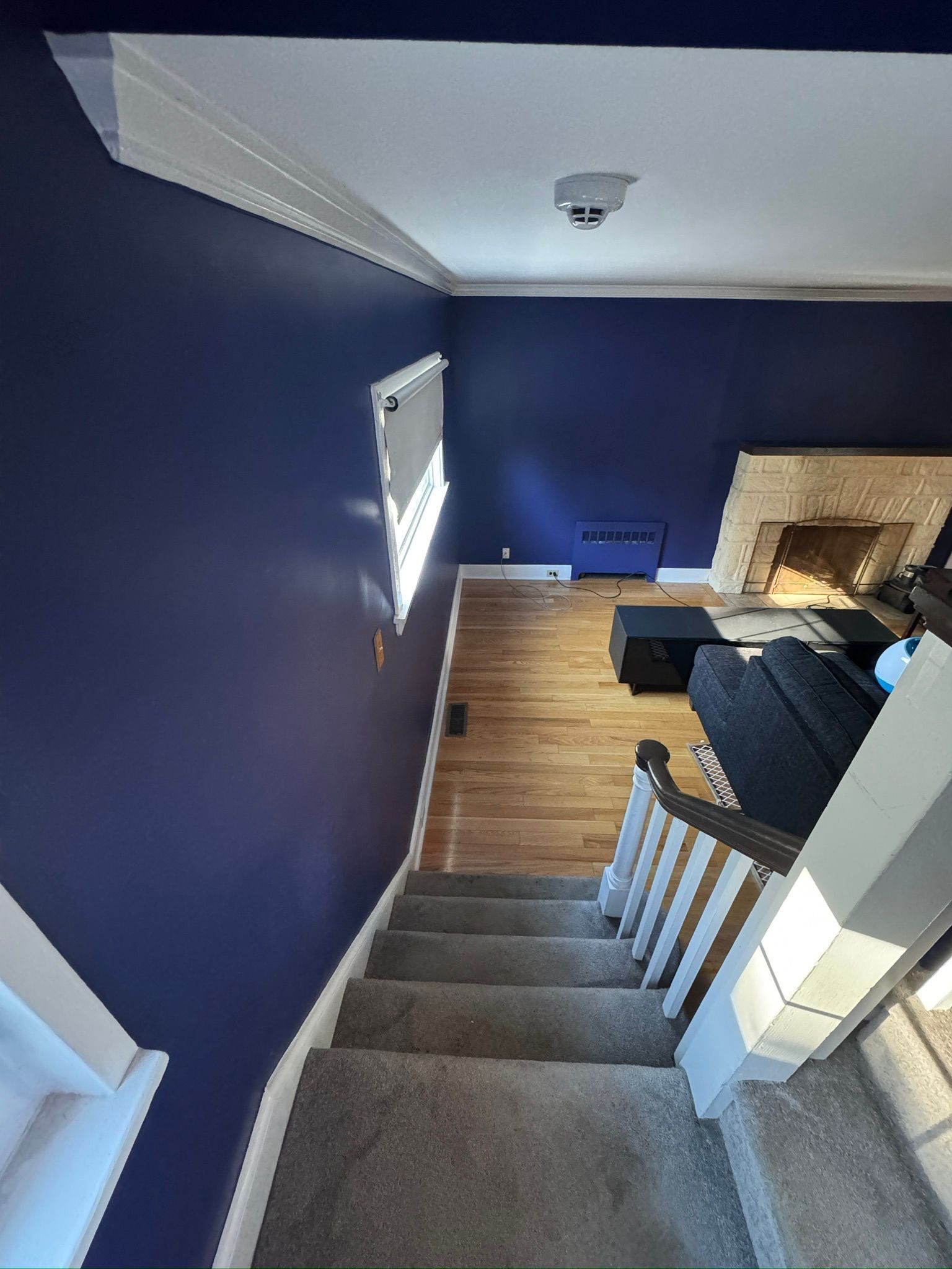 Dark Colorful Interior Painting Project by Davis Painting Llc