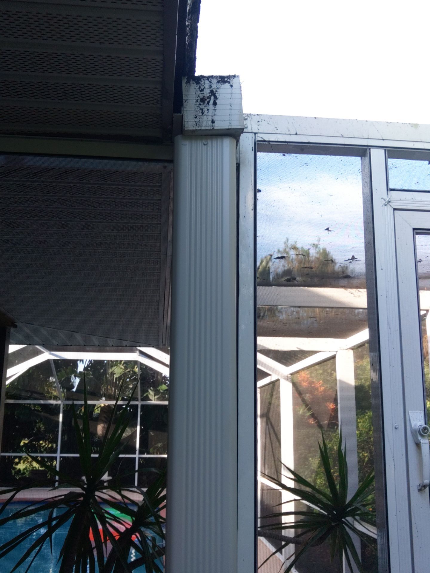 Seamless Gutter Cleaning Before the Rainy Season in Lehigh Acres, FL by Gutter Professors
