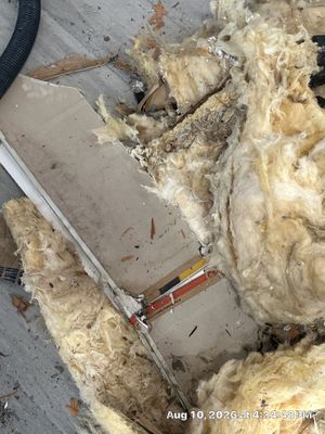 Flood Damage Cleanup — Bonita Springs, FL