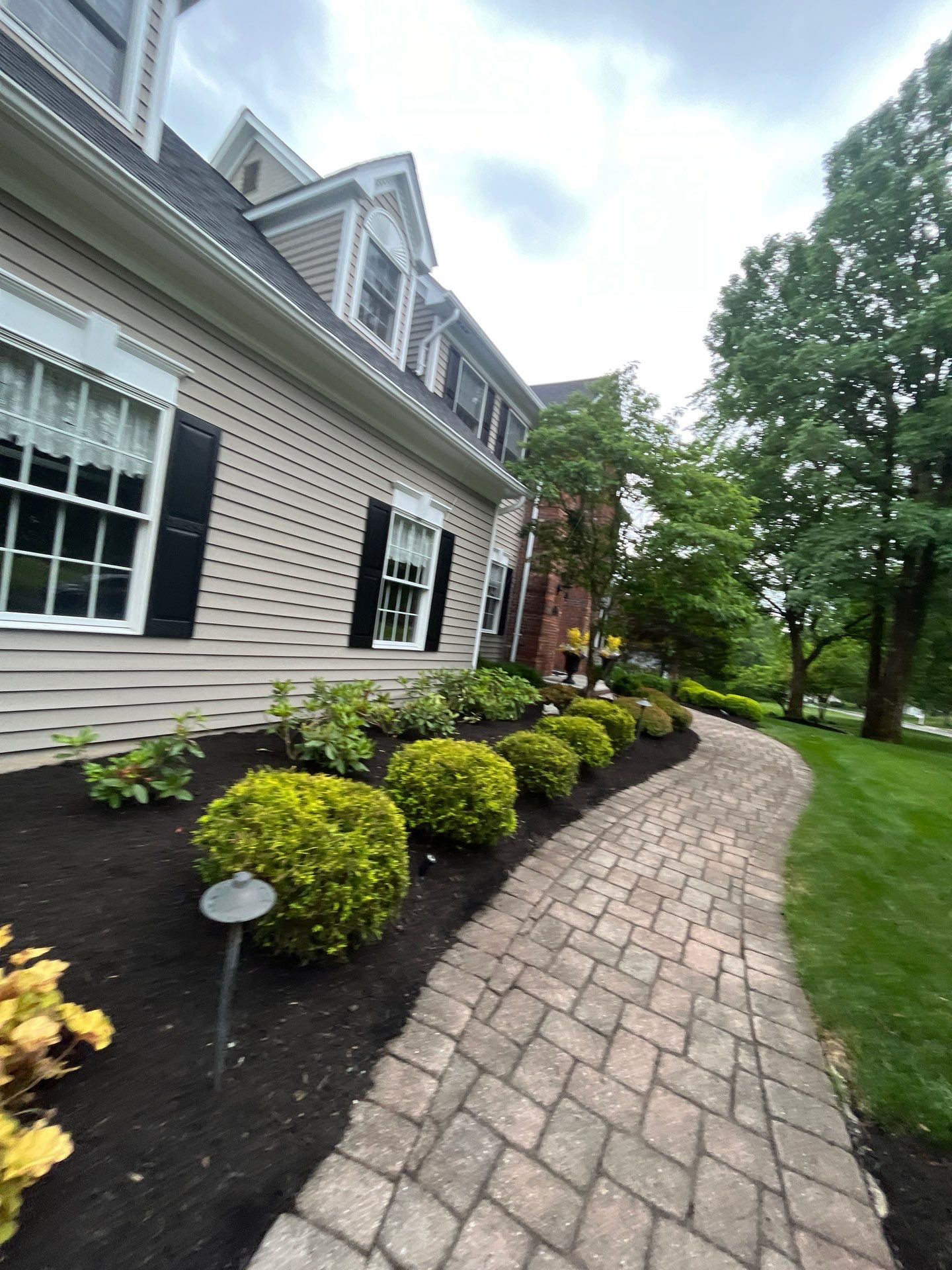 Comprehensive Shrub and Ornamental Bed Maintenance in Basking Ridge by Ants Plants