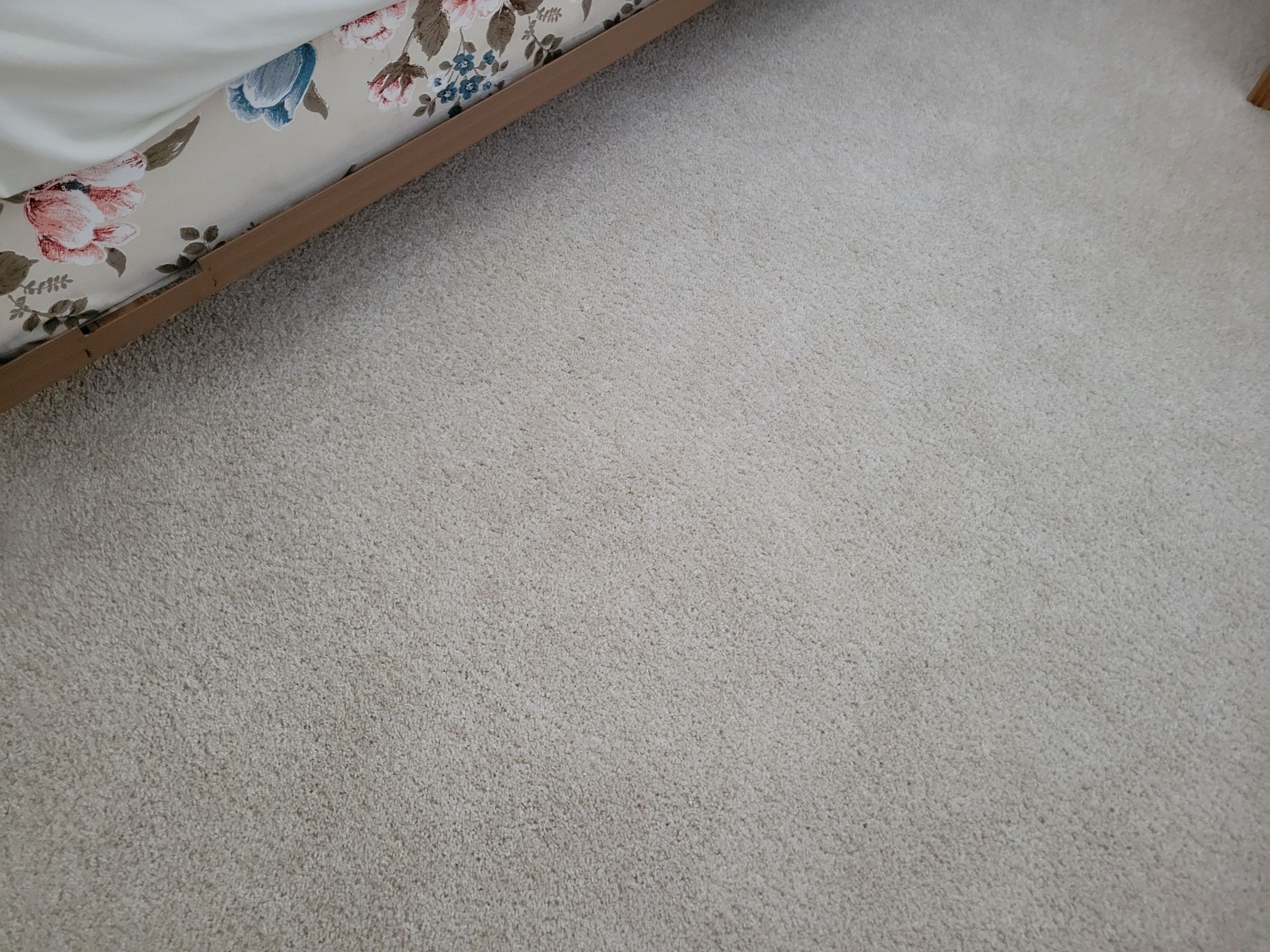 Investment Property, Carpet Cleaning by Ardent Carpet Restore LLC