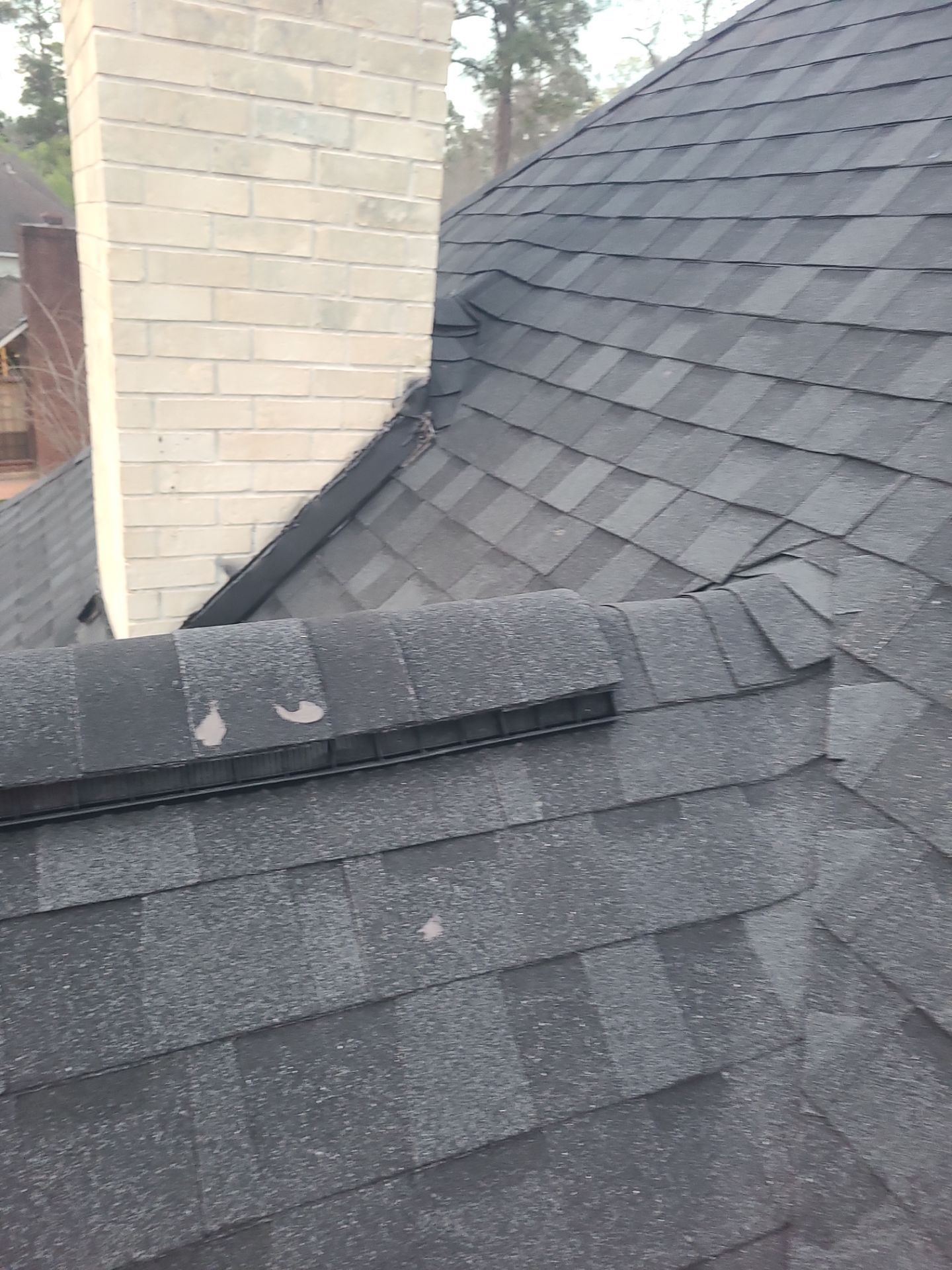 Roof Replacement Spring by Roof Repair Company