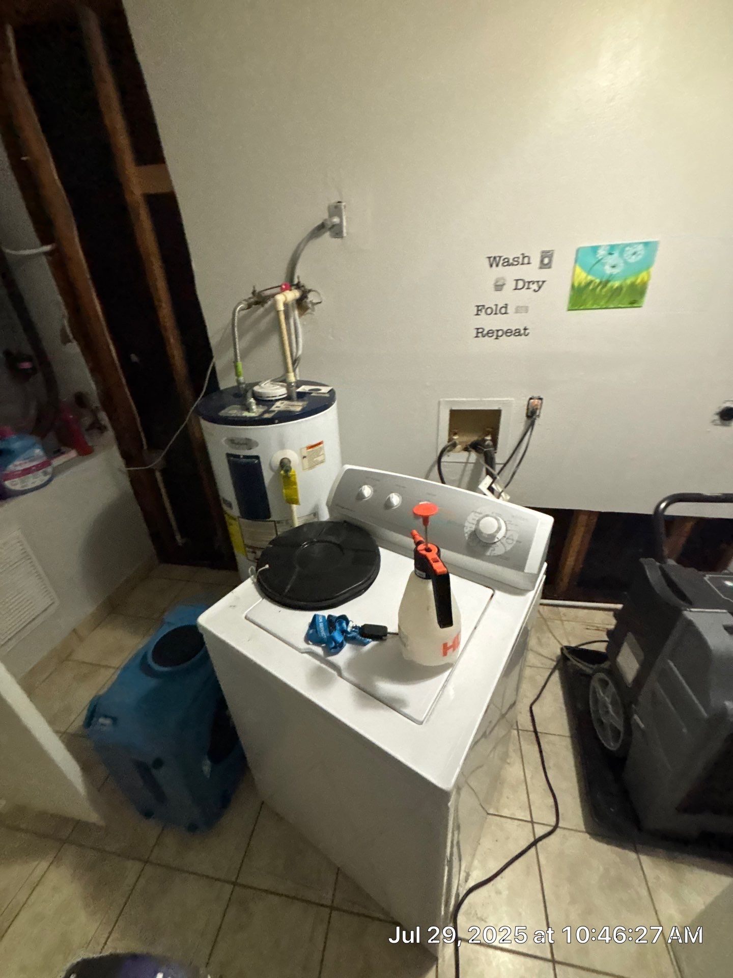 Mold Removal In Sarasota Florida by Ampm Restoration Services