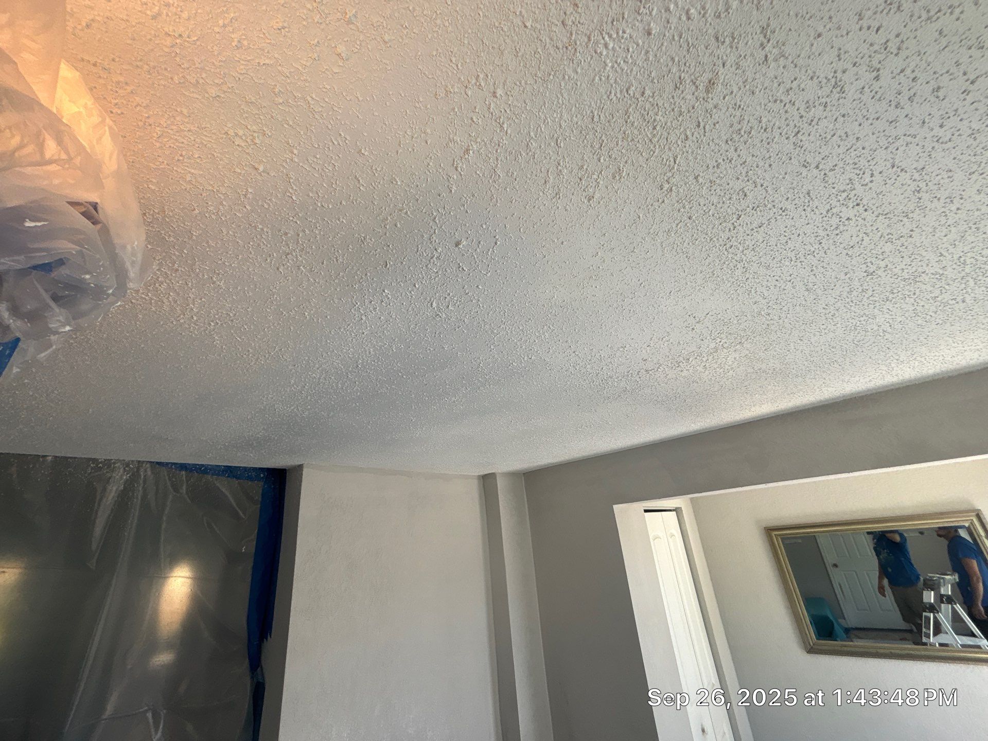 Mold Inspection & Mold Removal In St. Petersburg, FL by Ampm Restoration Services