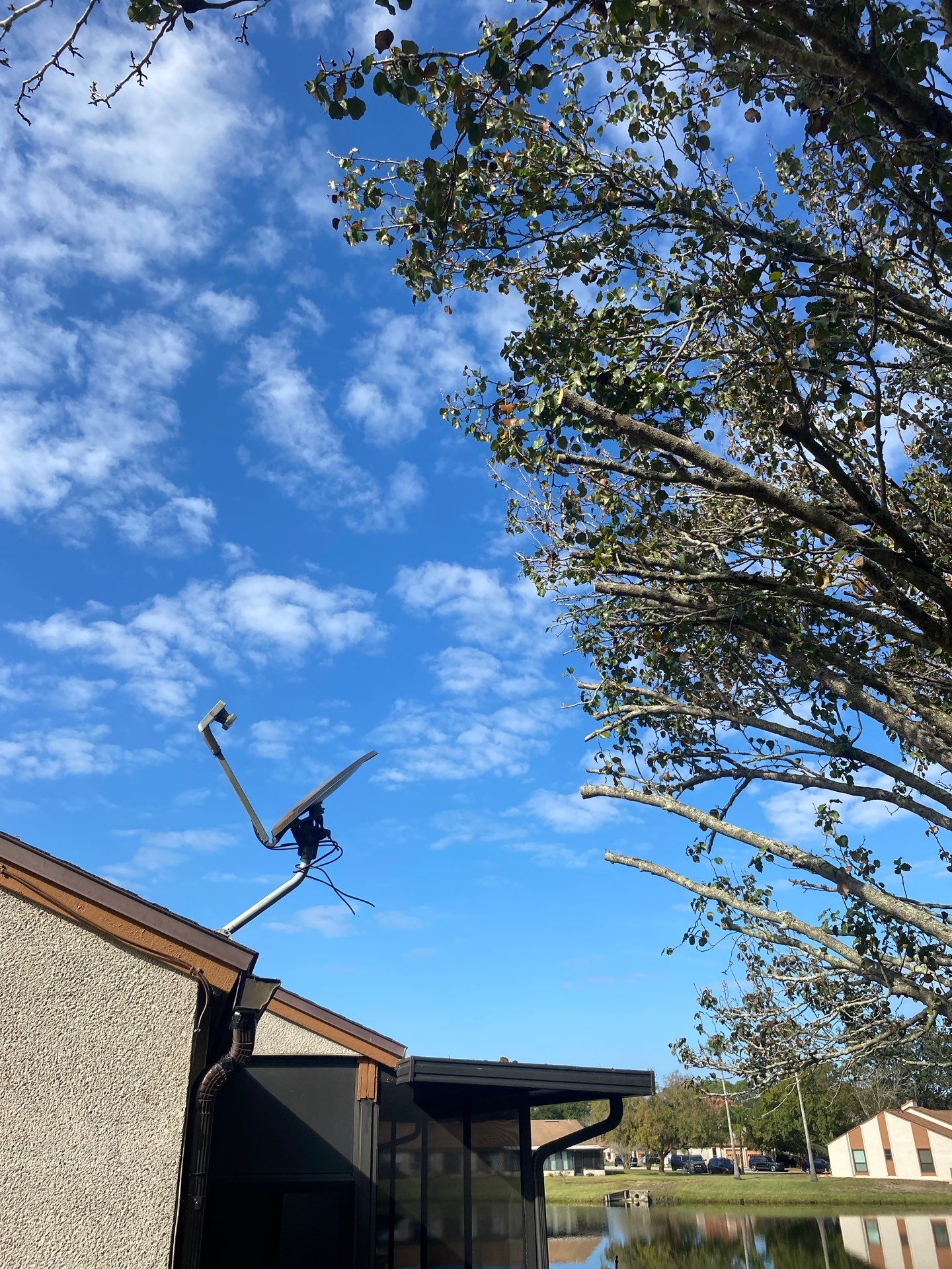 Residential | Tree Removal & Trimming by ProGreen Services