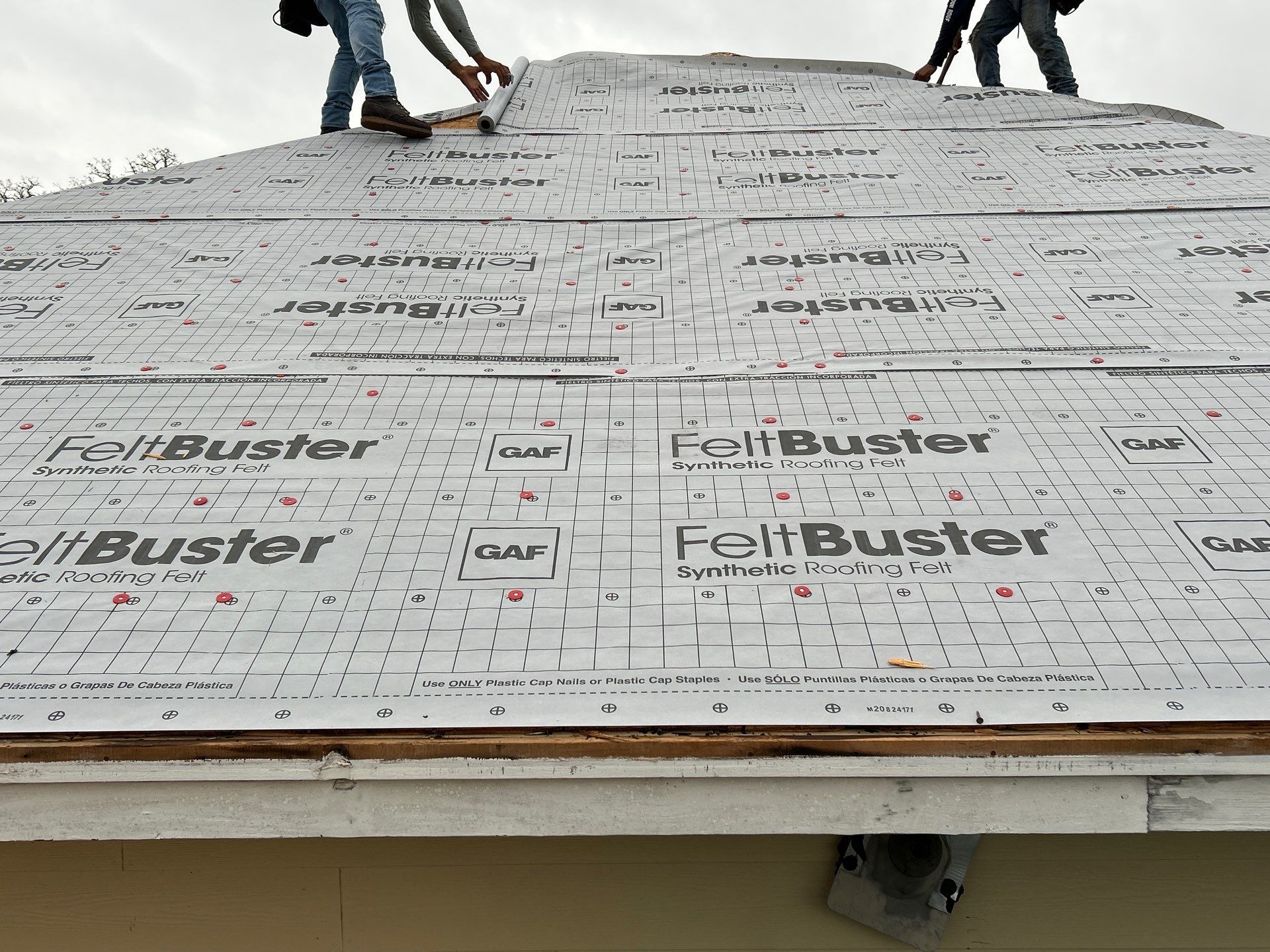 Victoria M by Boss Hogg Roofing