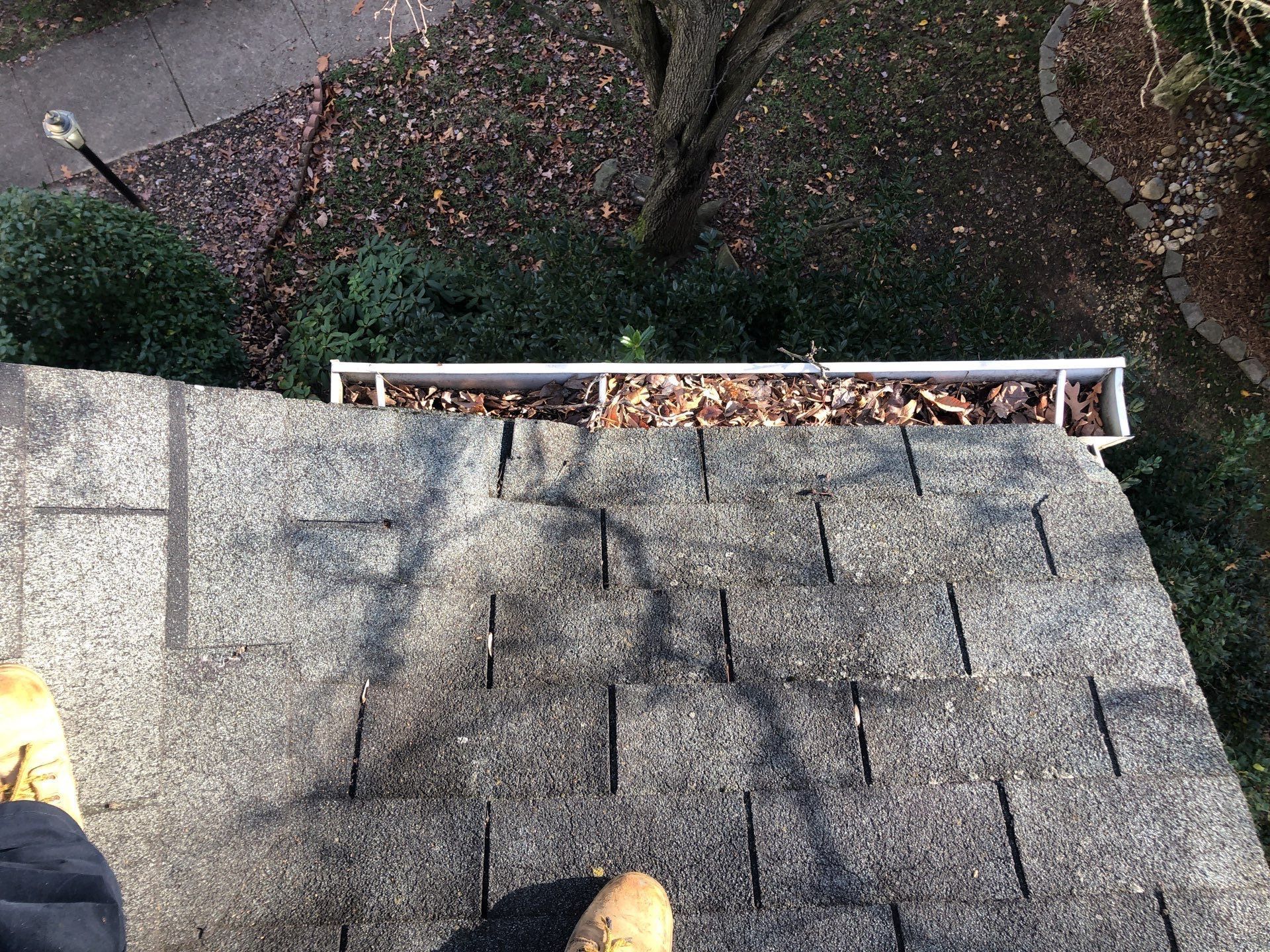 Alexandria CertainTeed Landmark Pro Roof in Max Def Pewterwood  by RM Banning, Inc.