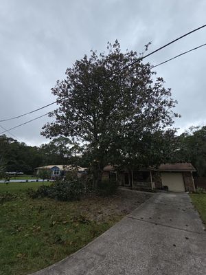 Tree Removal & Sod Install | Residential