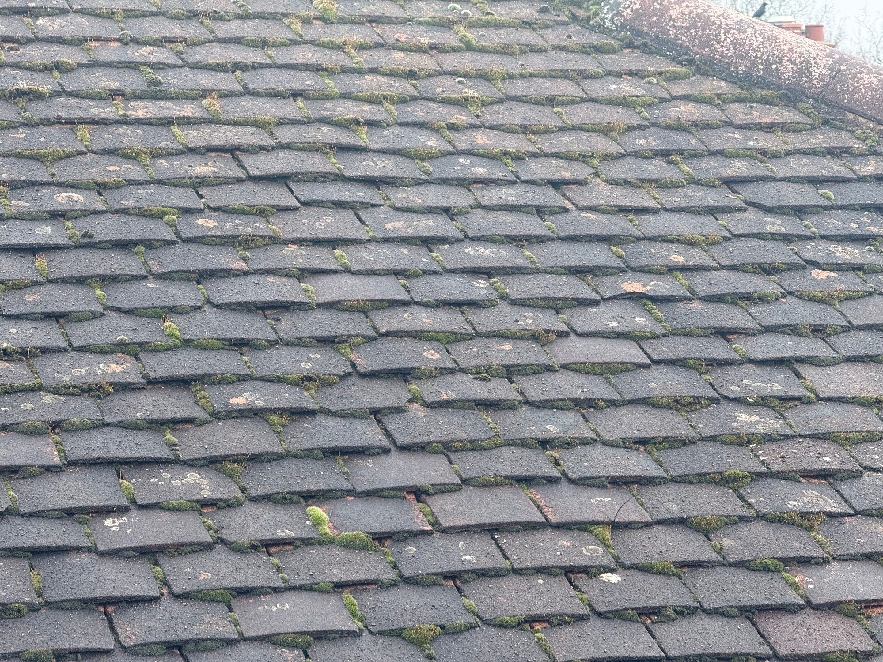 Roof Clean Epsom by Ges Exterior Cleaning ltd