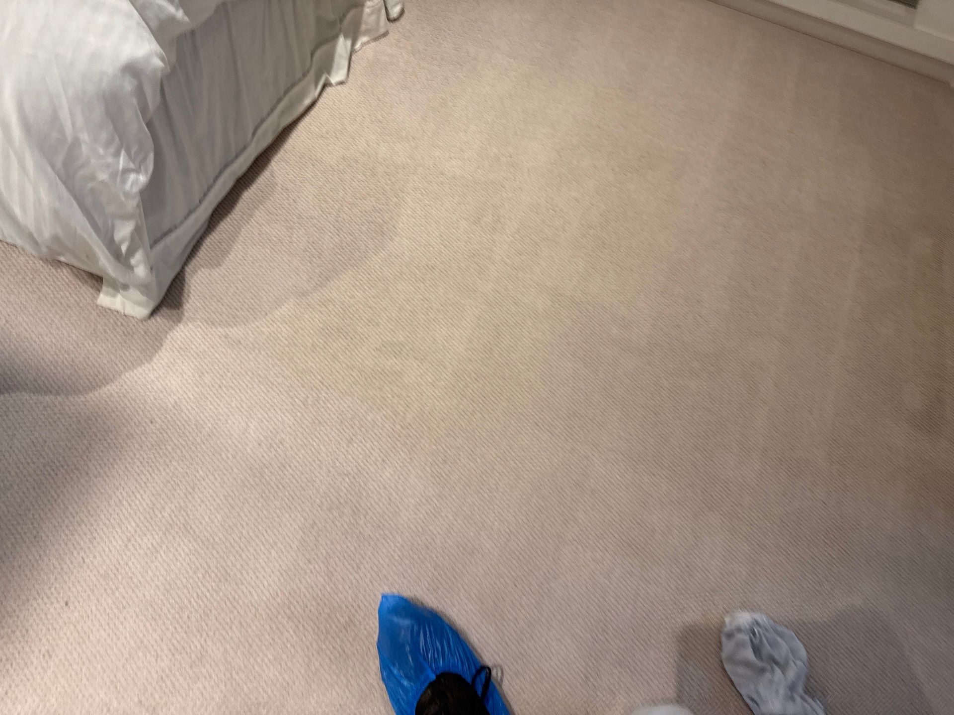 Carpet and Upholstery cleaning by Ges Exterior Cleaning ltd