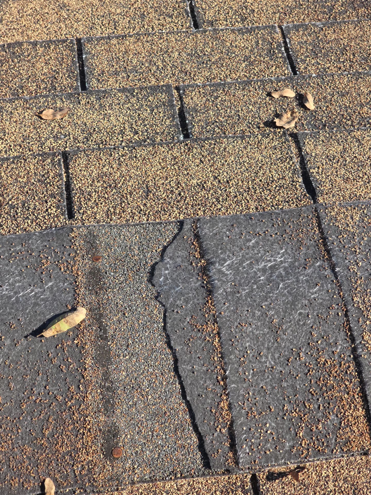 Roof Rejuvenation using Roof Maxx Treatment by Roof Maxx of Folsom