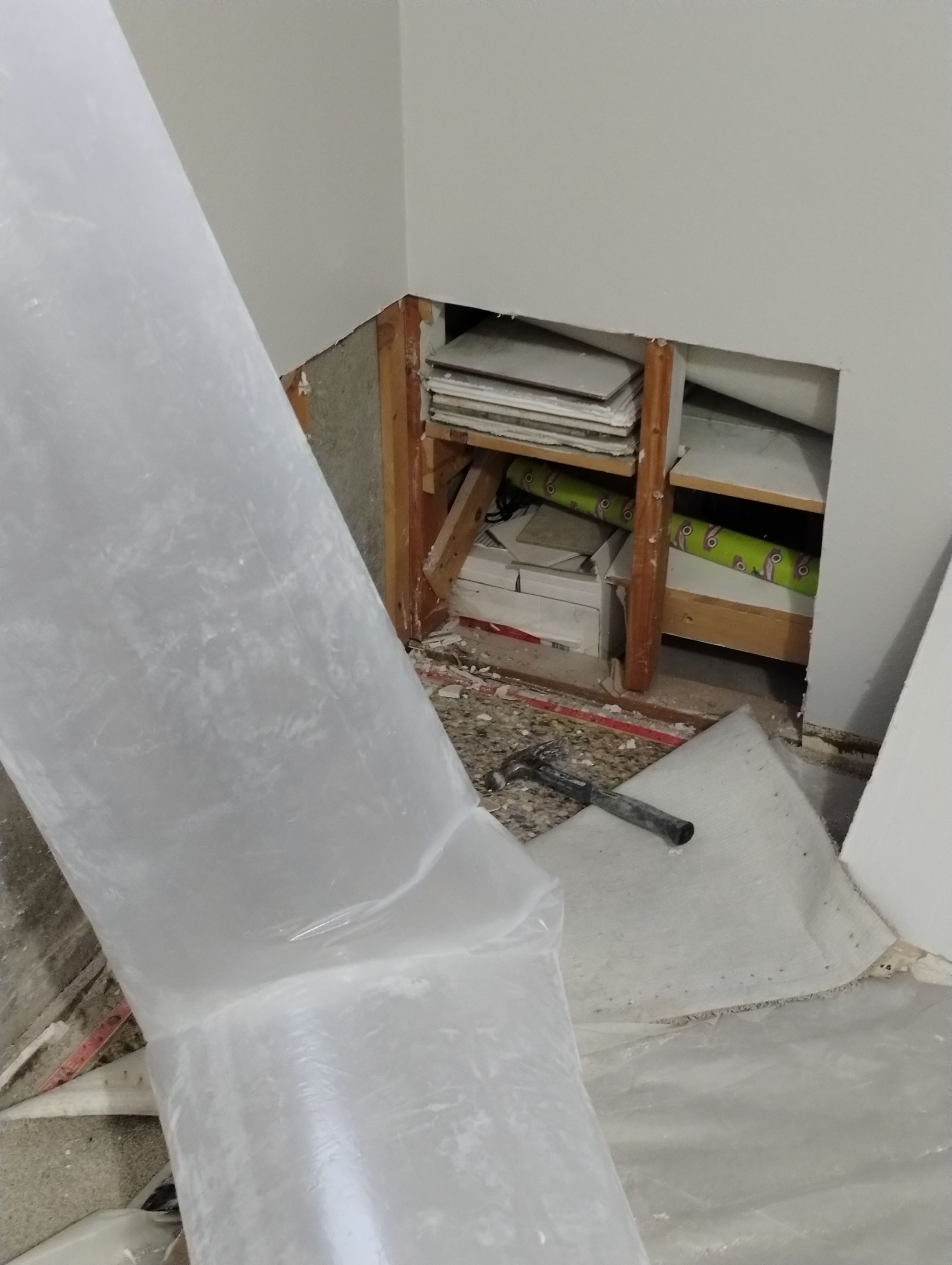 Mold Damage Repairs by Accountable Home Services