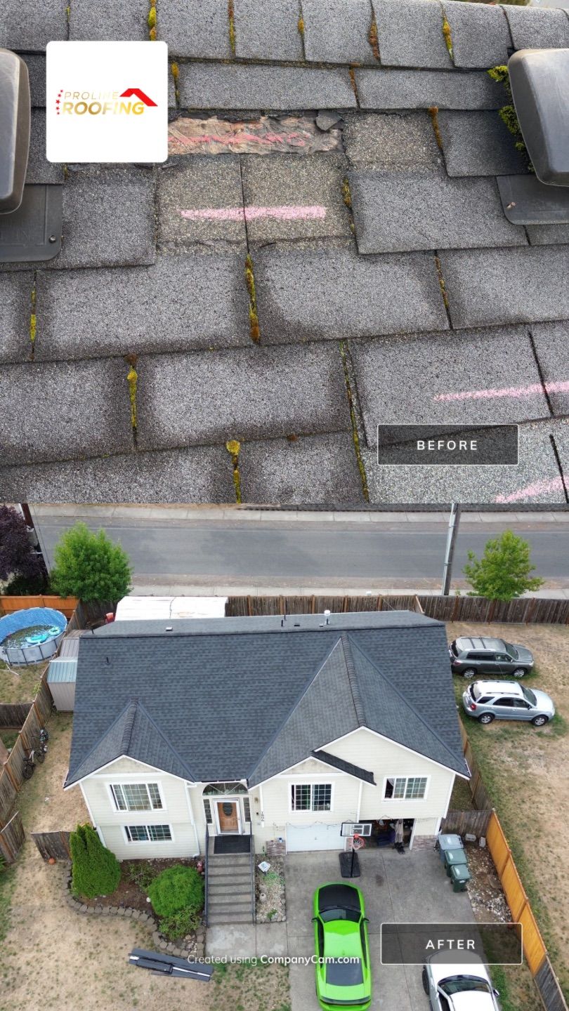 GAF Timberline NS, Charcoal  by Proline Roofing & Restoration LLC