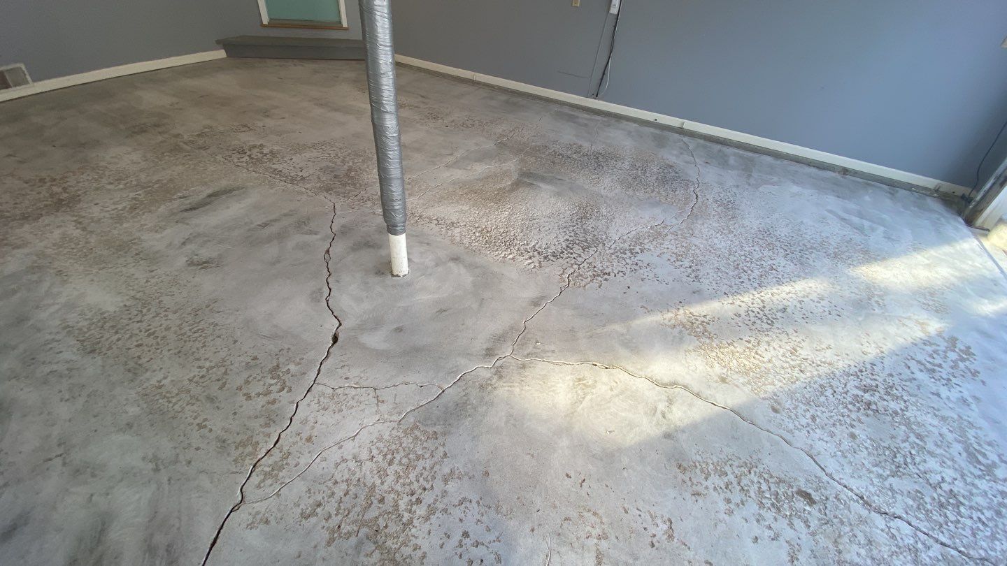 Garage using Domino  by Select Painting, Coatings & Garage Cabinets