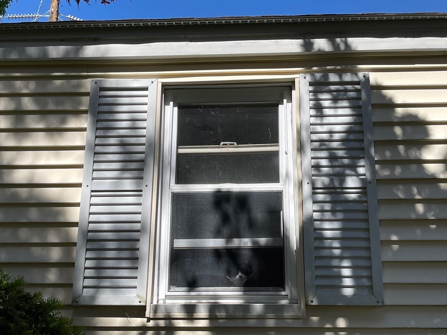 Window Installation using Mezzo Windows by Sensible Home Solutions