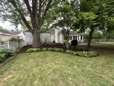Steven L. - Park Ridge, IL
