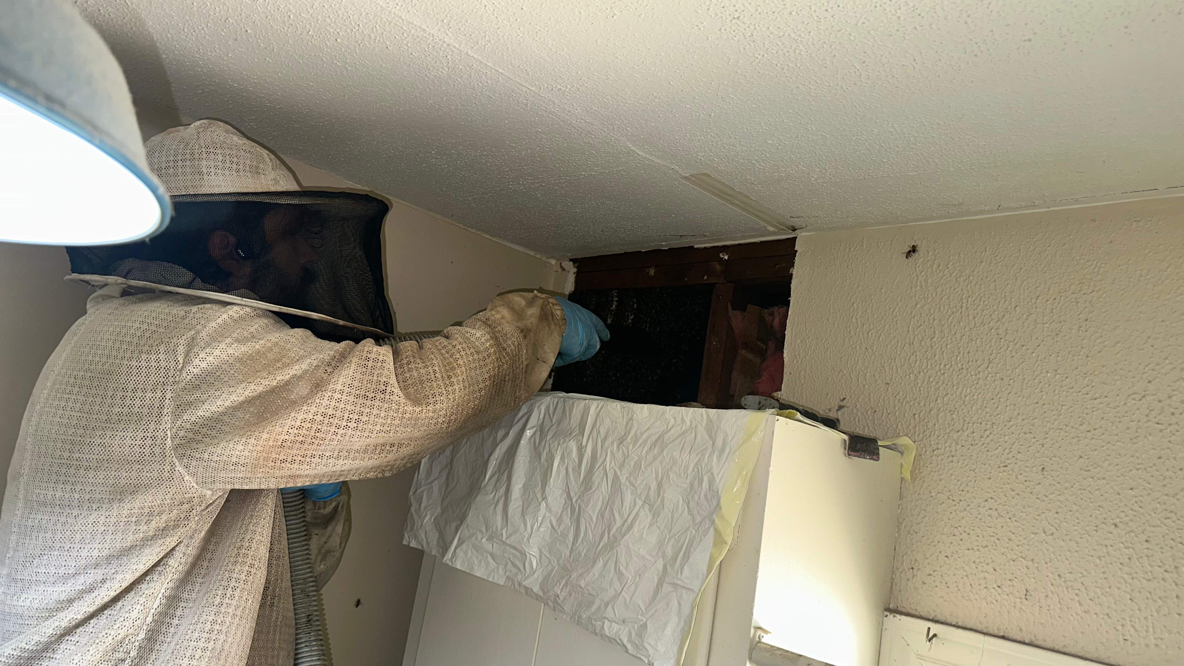 Laundry Room by Rockwall Honey Bee Company