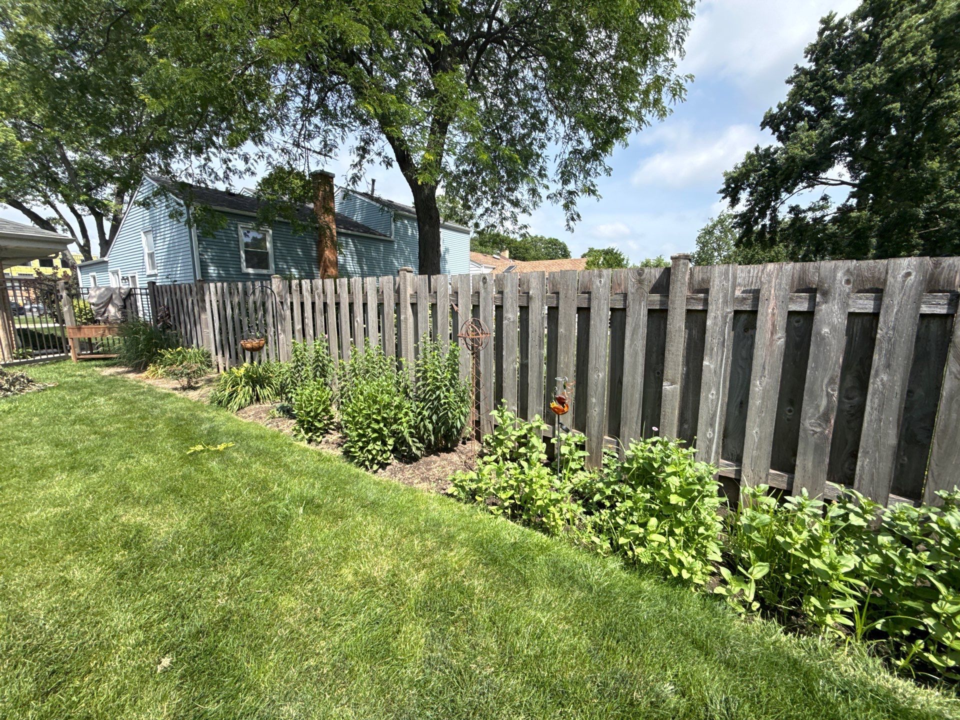 Cheris B. - Mount Prospect, IL by A&N 