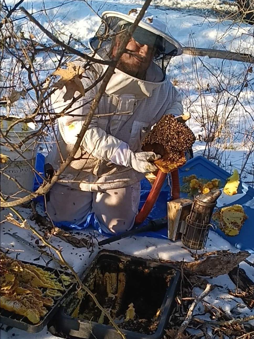 Winter Freeze Bees by Rockwall Honey Bee Company