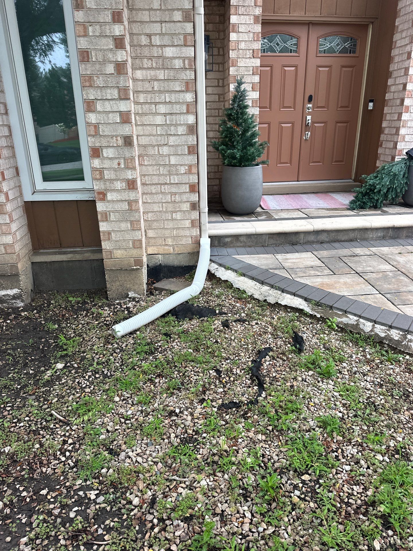 Marie R. - Glenview, IL by A&N 