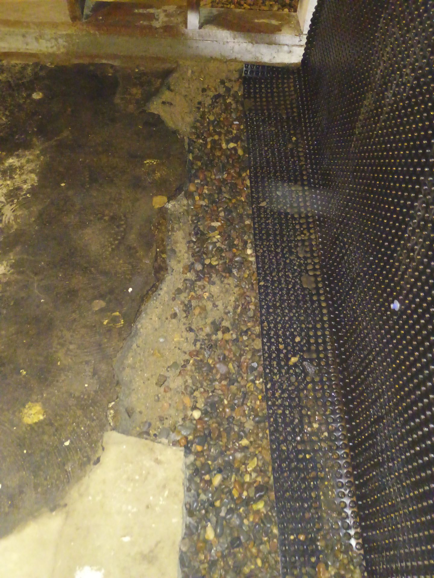 Updating Taylor's Waterproofing System by Waterproofing Northeast