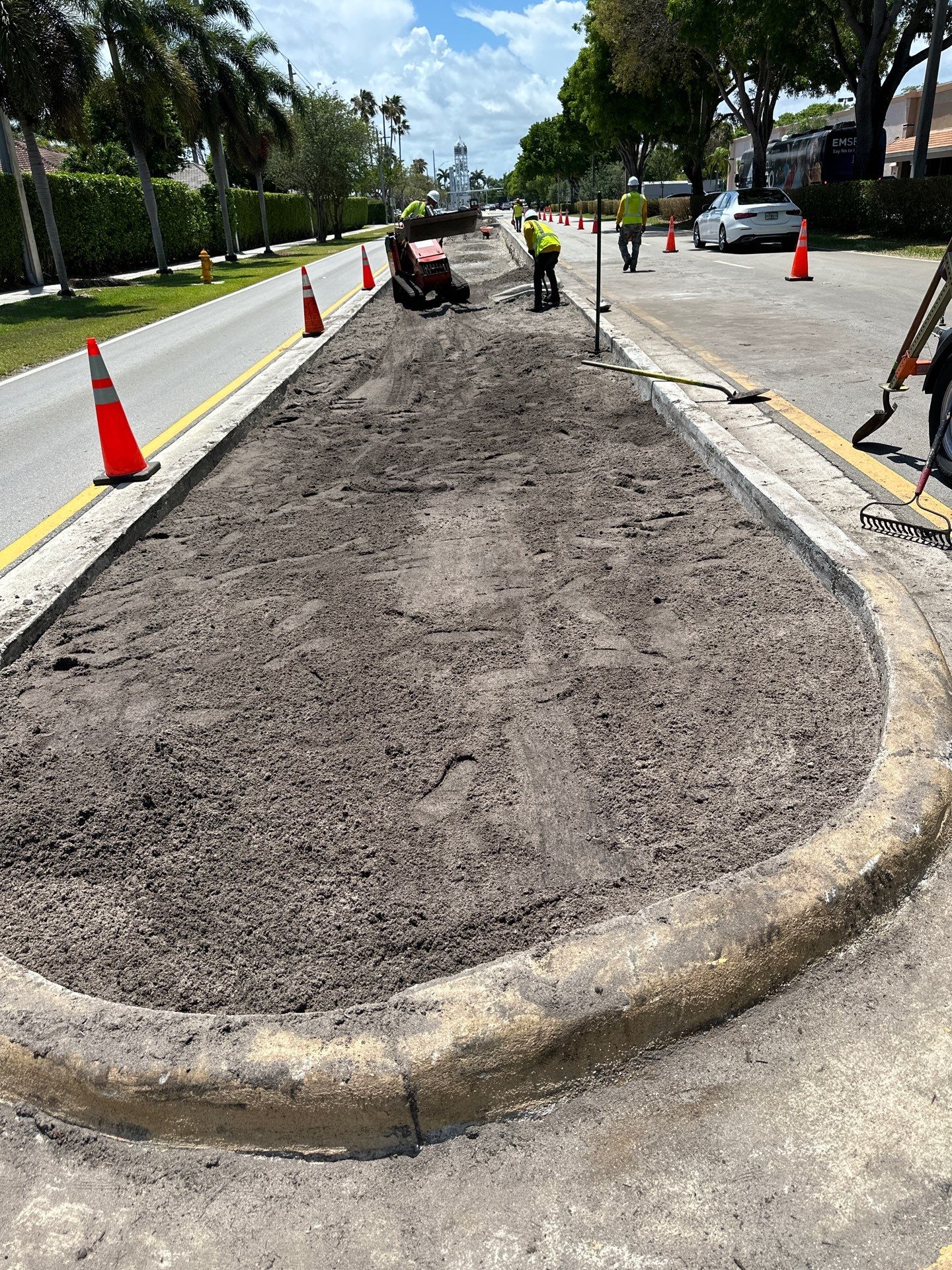 Pinecrest Median - New Native Landscape by Nature's Dream by Nature's Dream Landscape and Tree Service