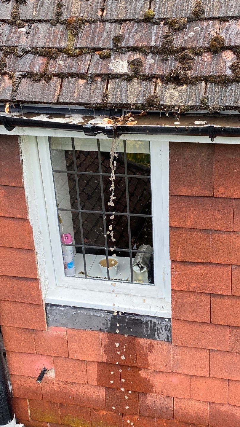 Roof Clean - Moss Removal using Honda 15lpm Low Pressure Washing Machine by Ges Exterior Cleaning ltd