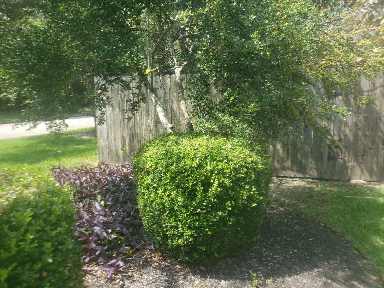 6'6" Western Red Cedar Fence Install by Astro Outdoor Designs 