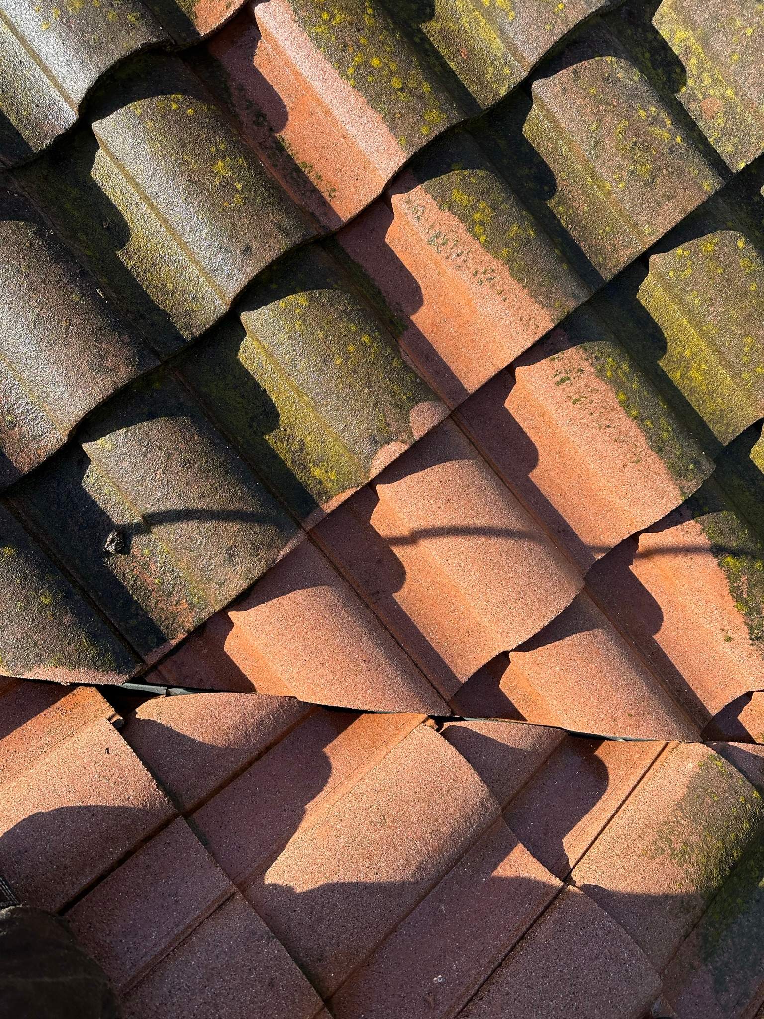 Roof wash on this dirty roof covered in algae by Property Cleaning Experts, LLC