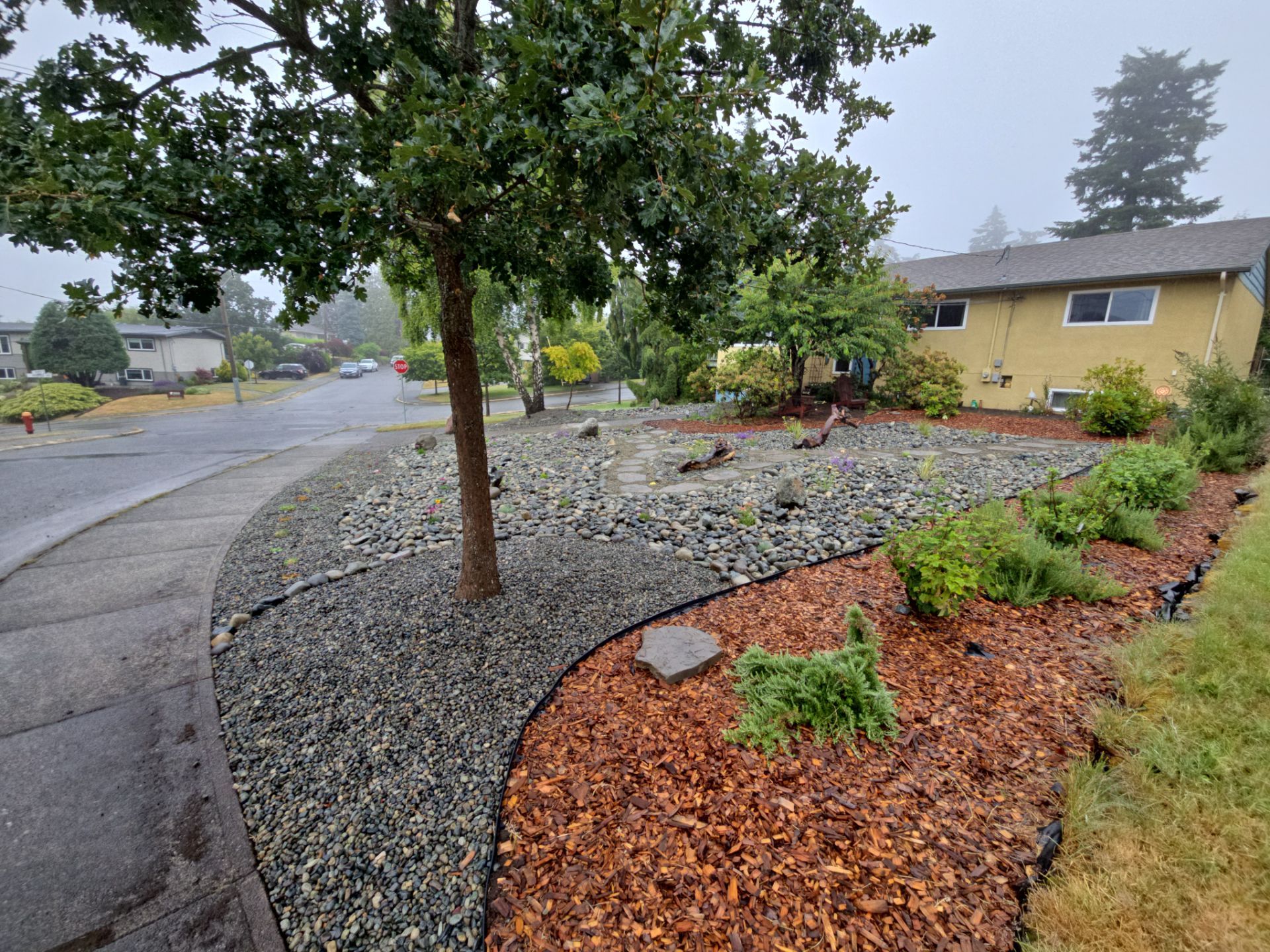 Front Yard Ecological Conversion – A West Coast-Inspired Low-Maintenance Oasis by Habanero Garden and Exterior Care