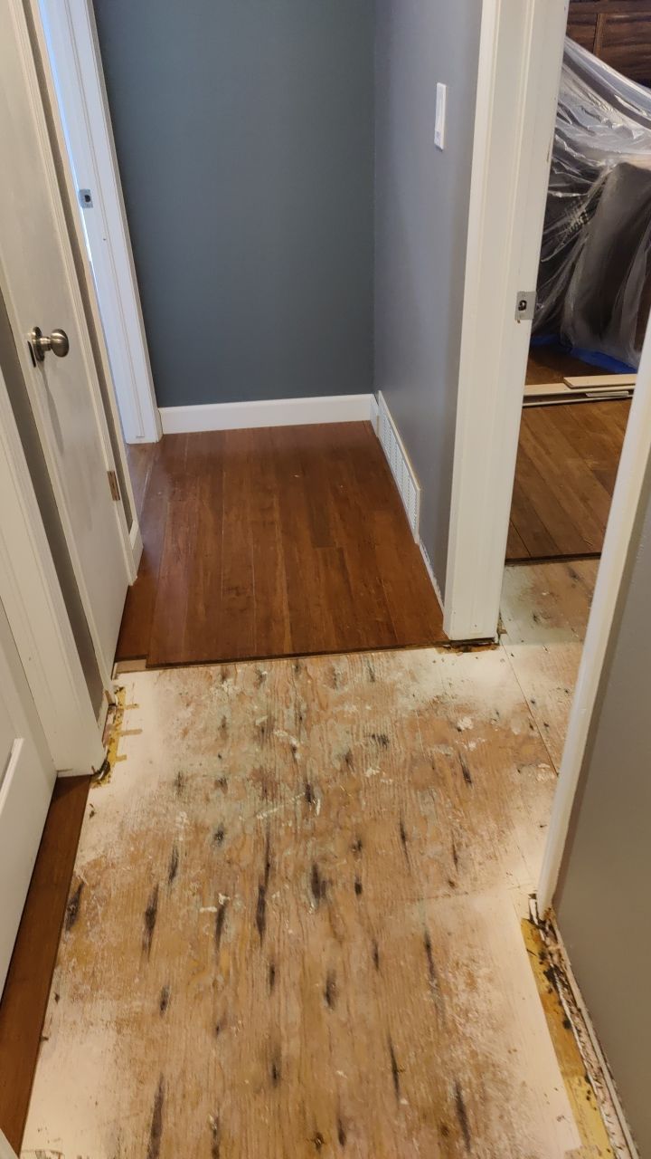 Water Damage  by Accountable Home Services