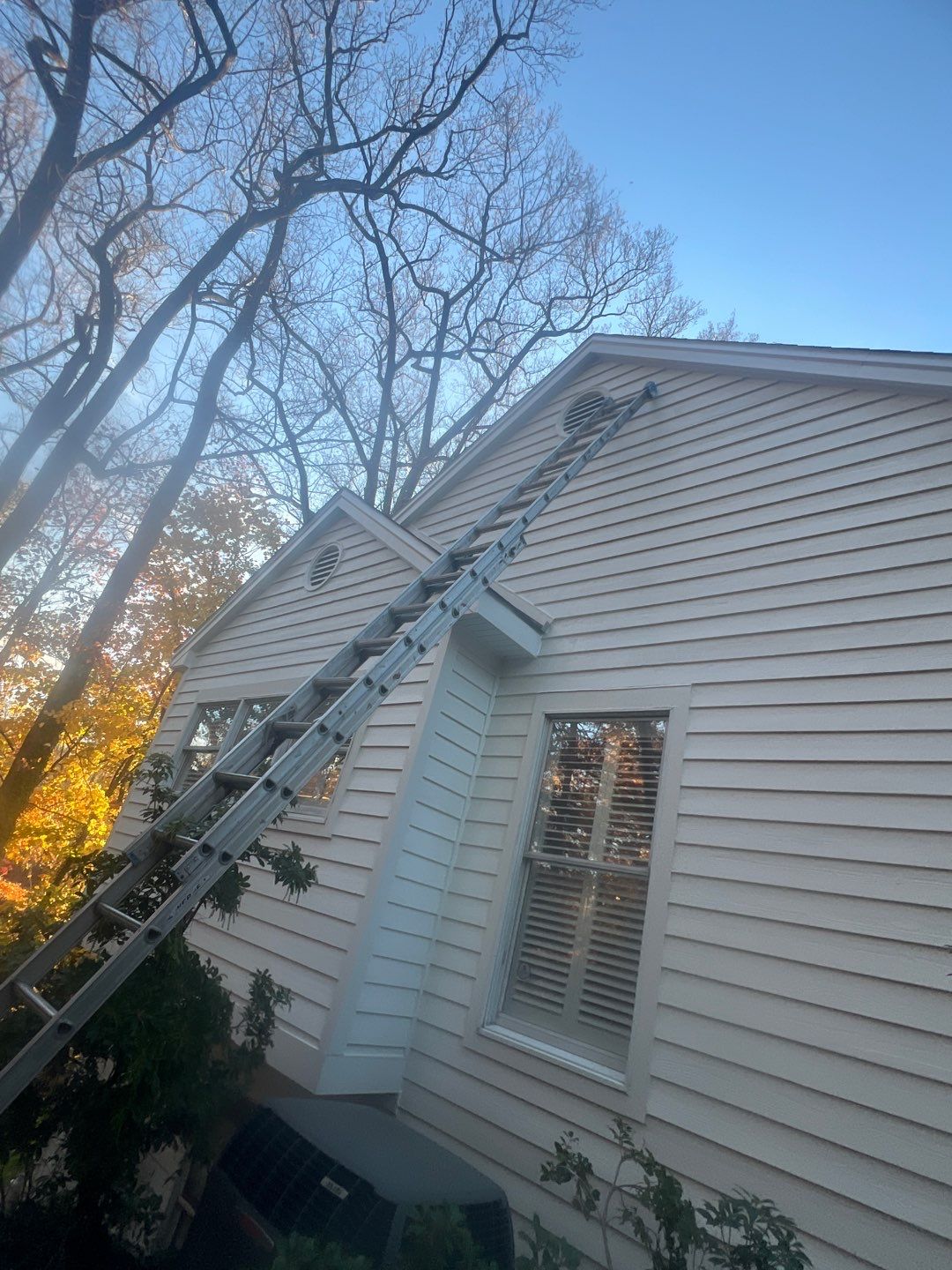Arlington: Bevel Cedar Wood Siding Restoration by RM Banning, Inc.