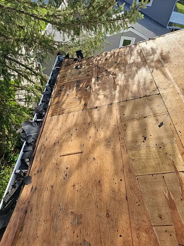 ATLAS PINNACLE COLOR: SUMMER STORM DRIP EDGE: WHITE by Eagle Eye Roofing