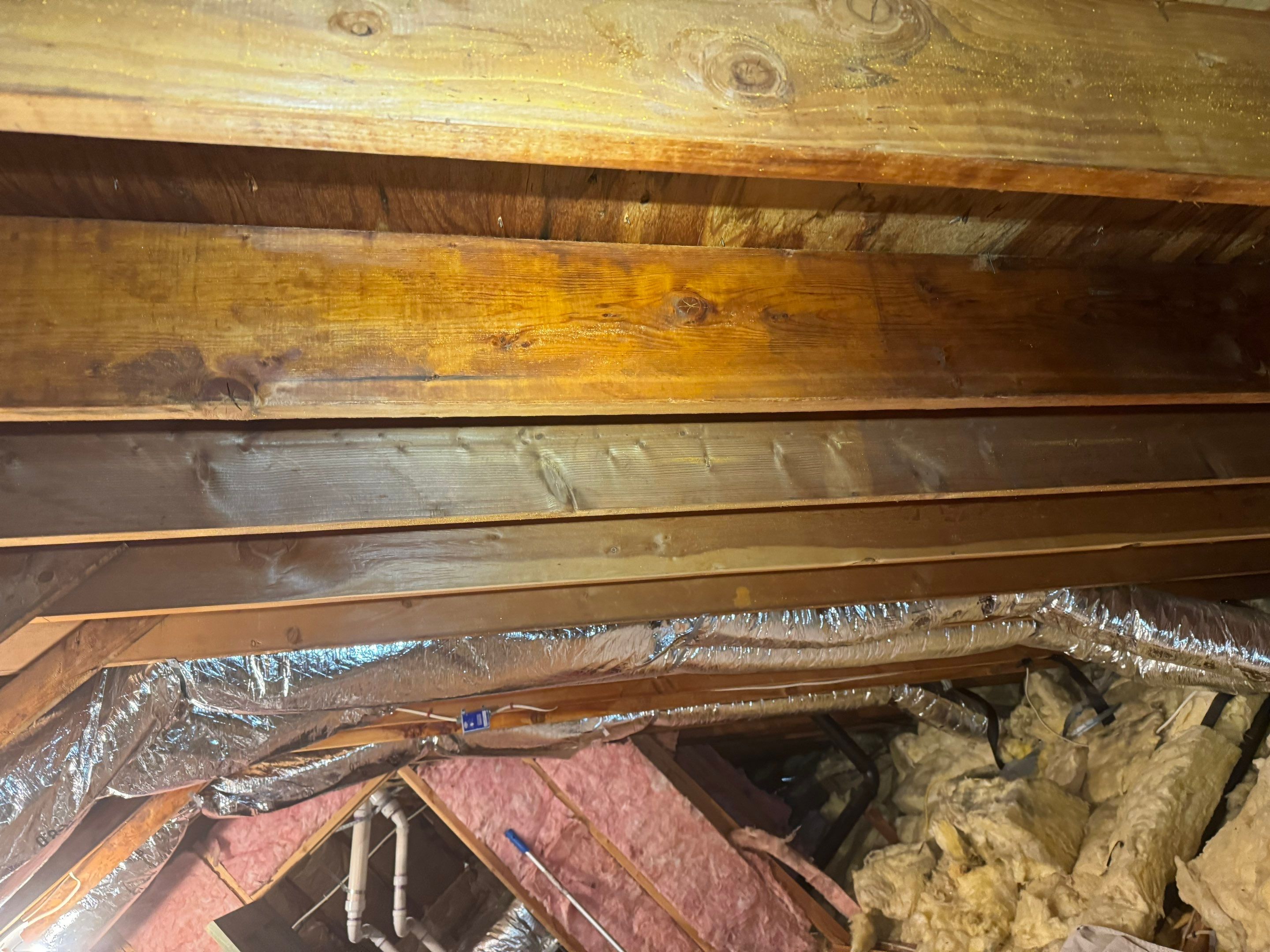 Bathroom Mold Remediation by Home Guarantee, LLC