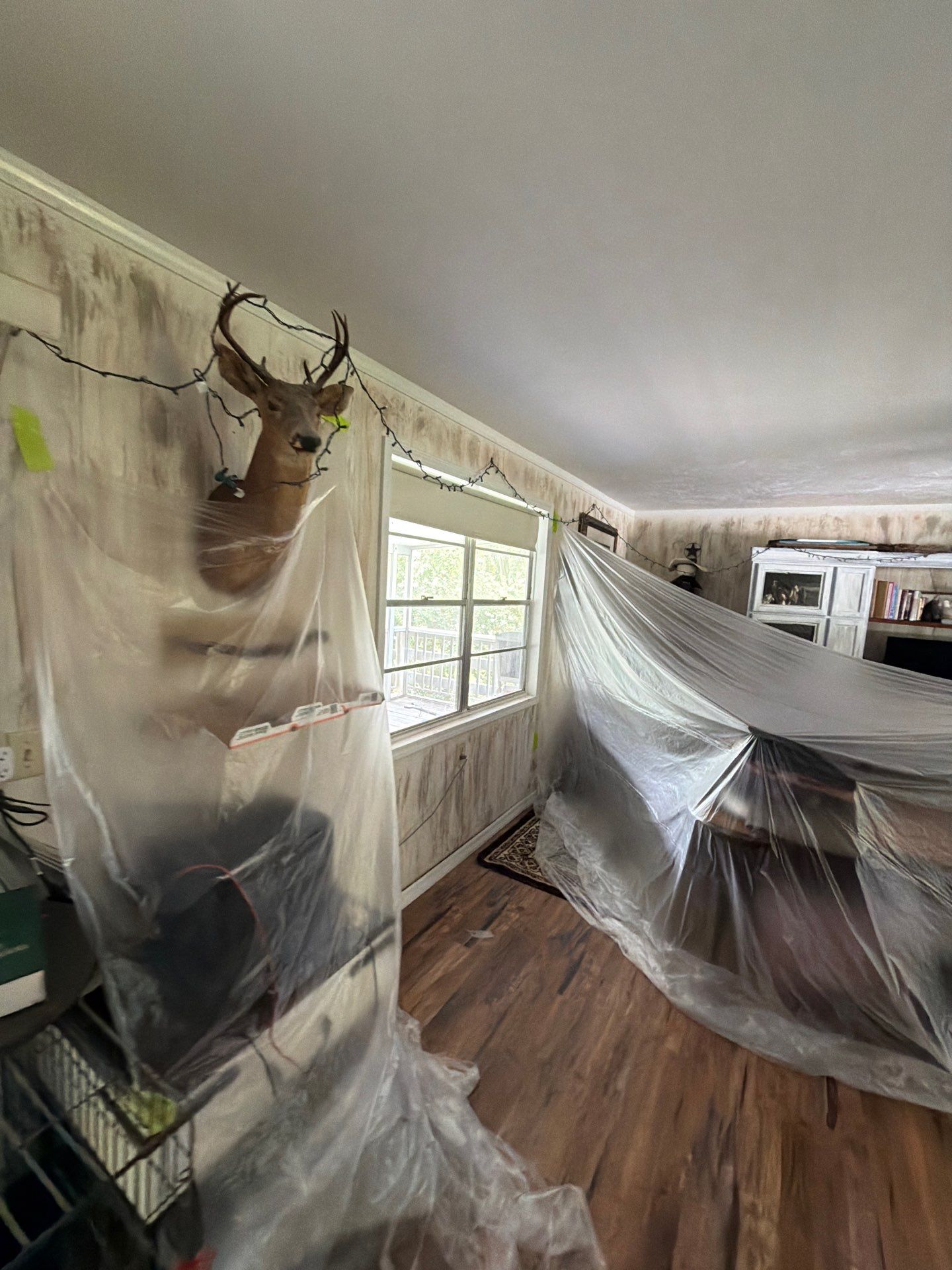Energy-Efficient Vinyl Window Replacement Throughout Williston Home by Windows & Doors Store