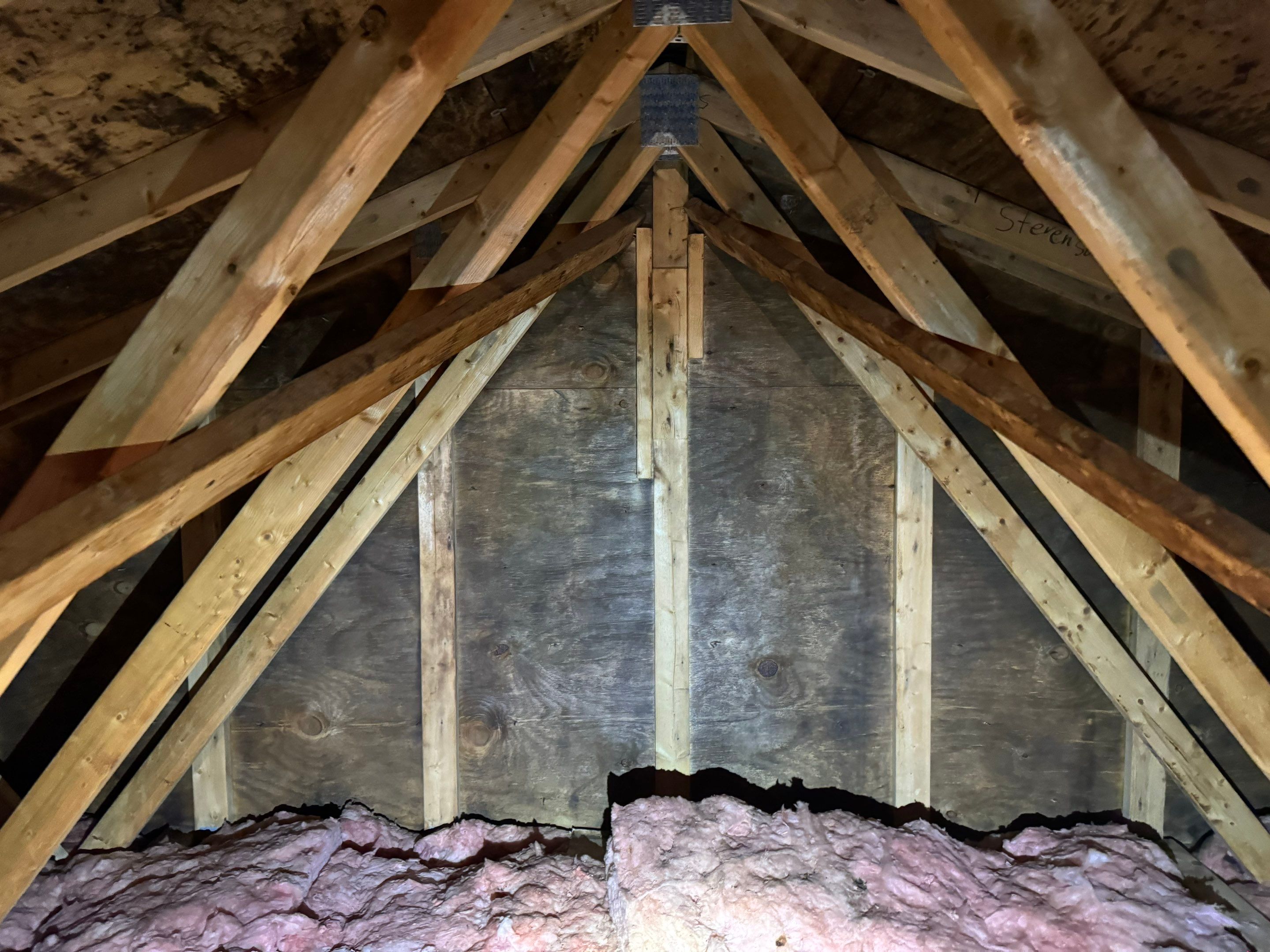 Attic Mold Remediation by Home Guarantee, LLC