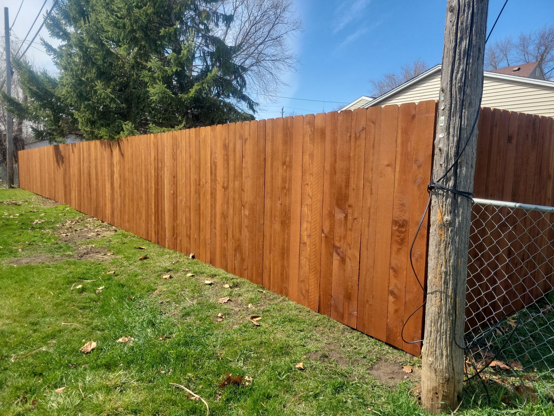 Custom Chestnut Stained Cedar Privacy Fence in Waterloo by Perfect Picket Fence and Stain