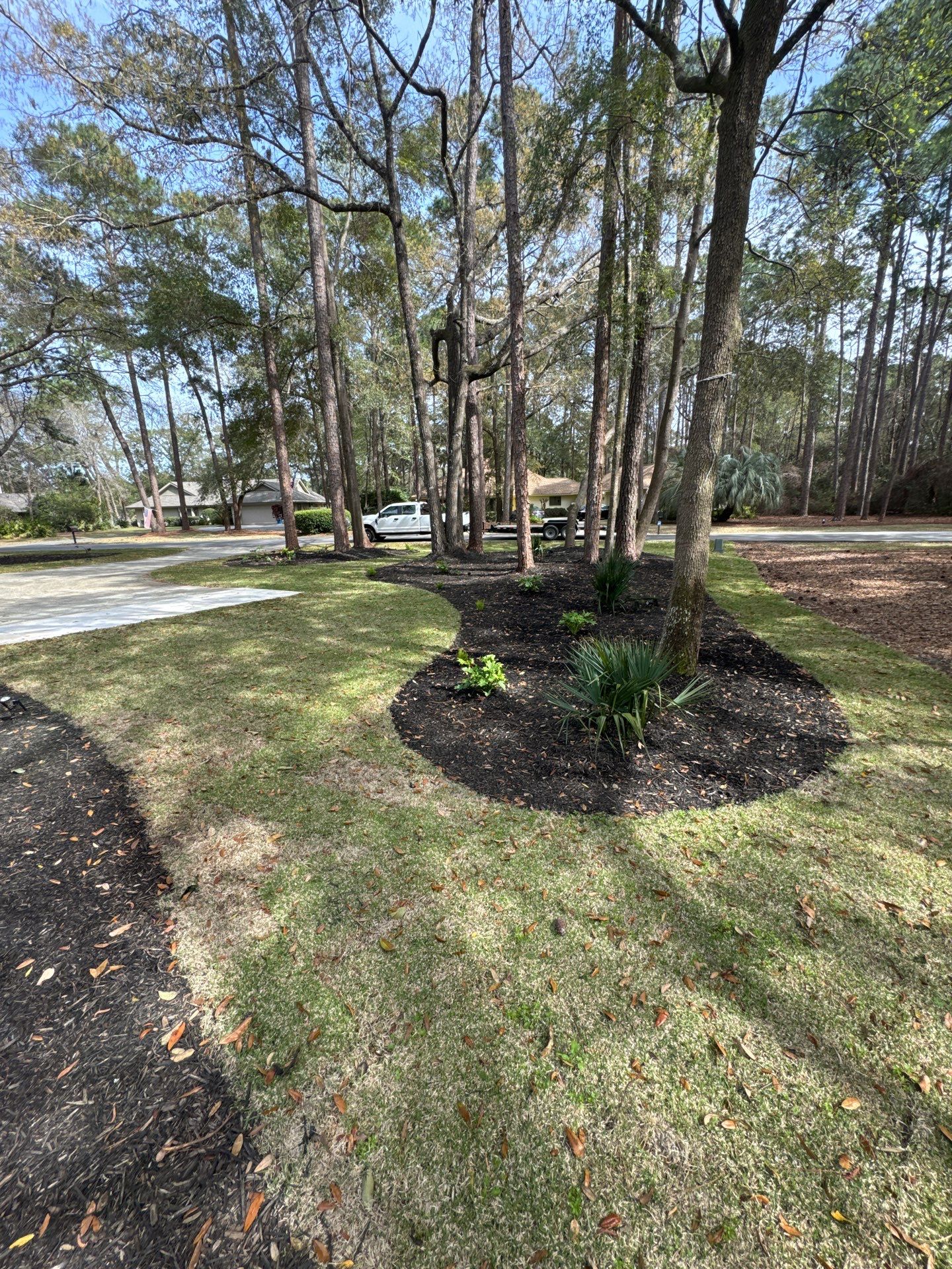 Hilton Head Island Paver Patio and Full Landscape Installation by Lowcountry Scapes, LLC