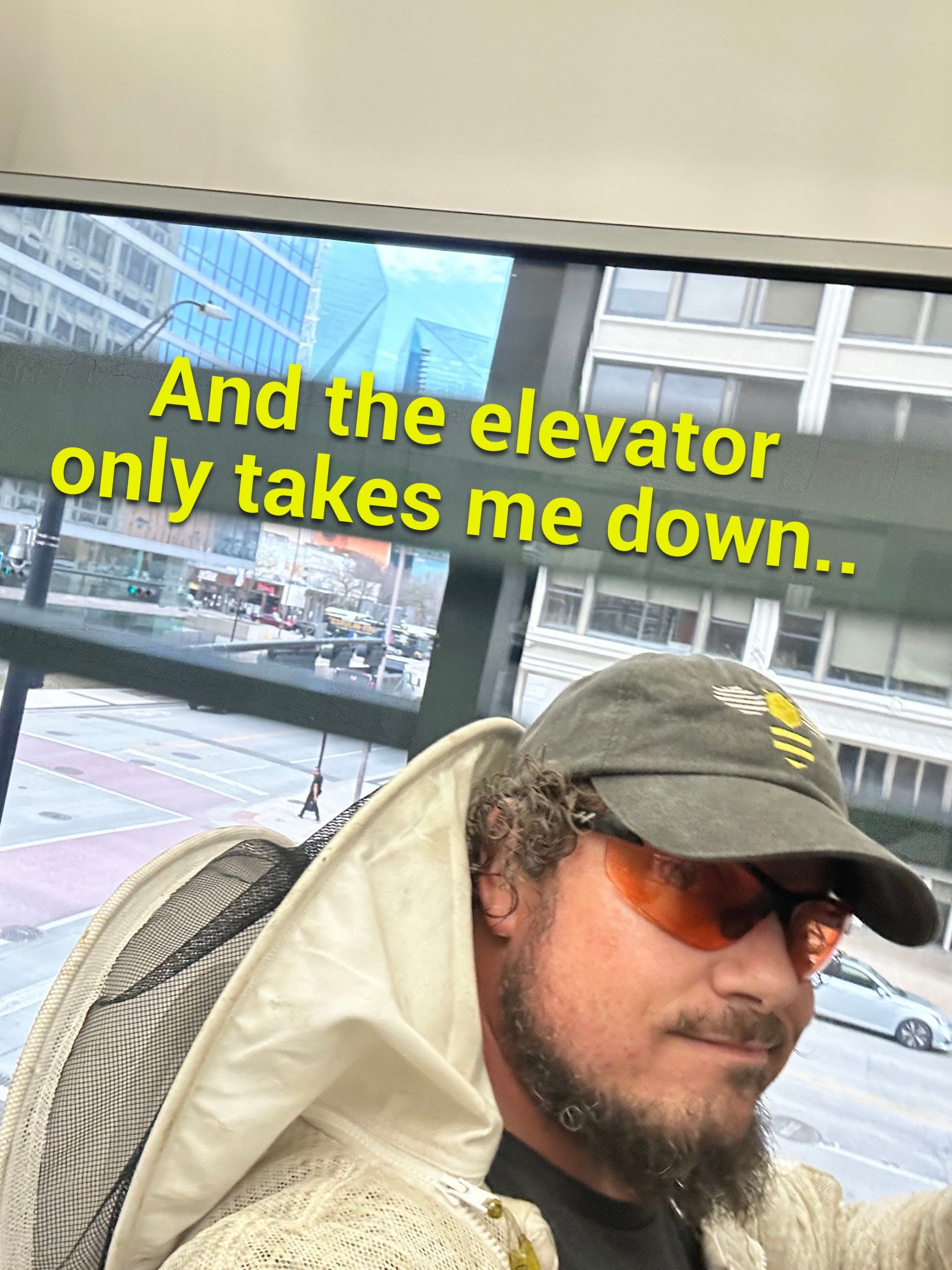 Downtown Dallas by Rockwall Honey Bee Company