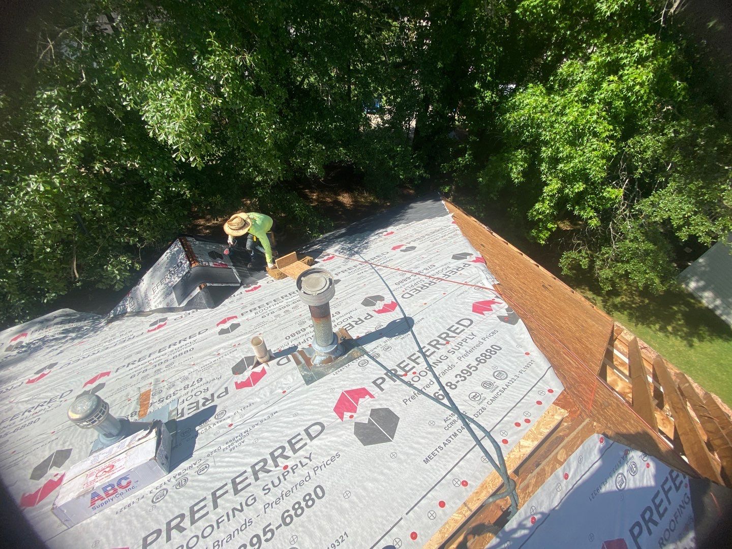 Rotten Wood by Roof Bullies