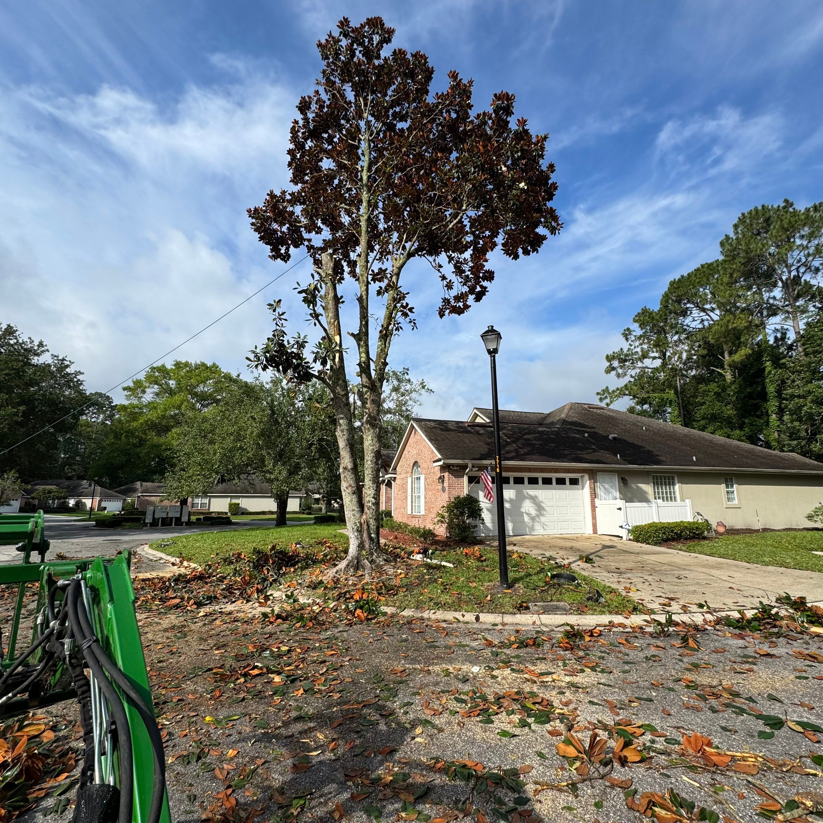 Deerwood Resident | Tree Removal by ProGreen Services