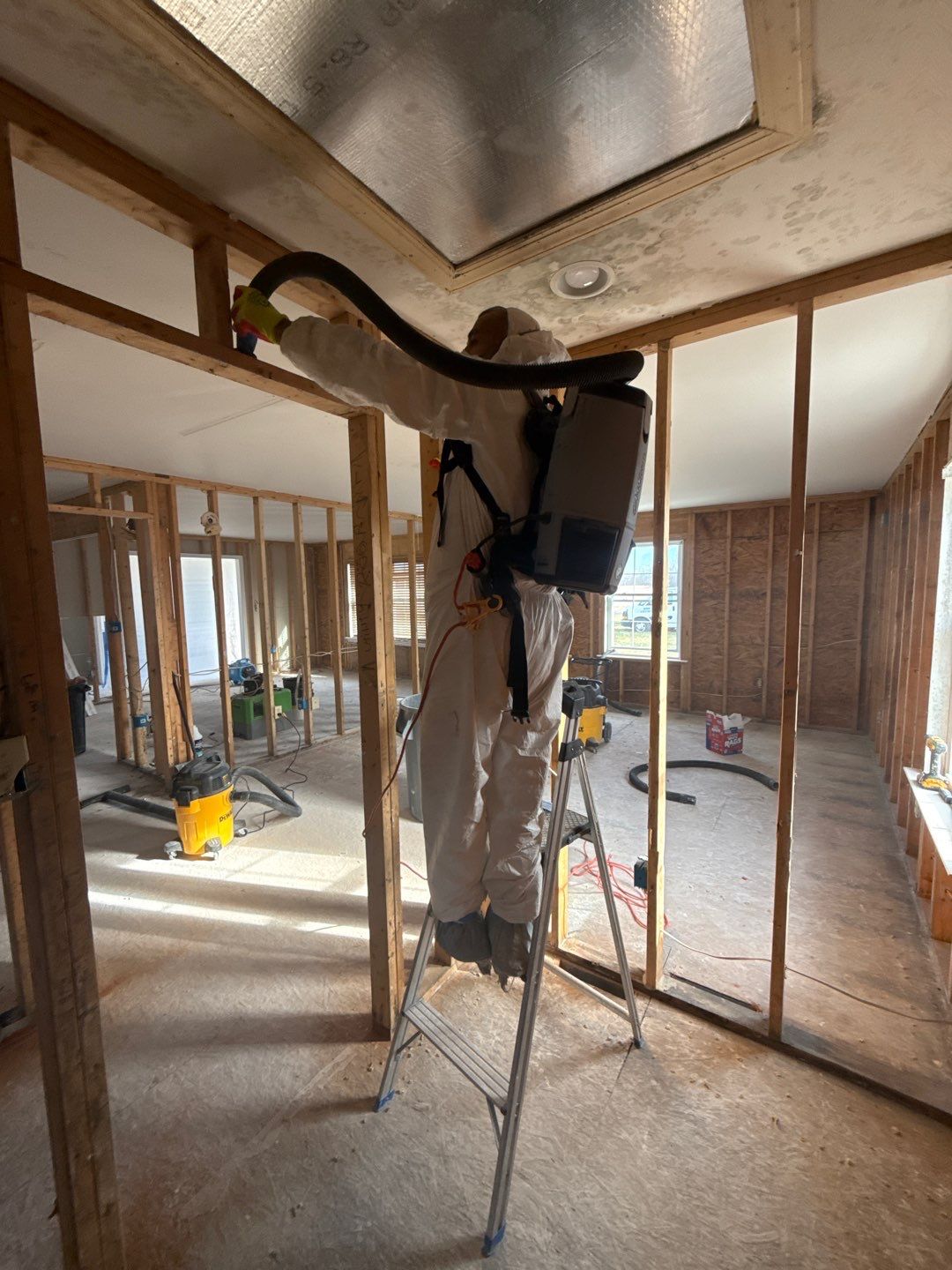 Water Damage& Mold Remediation Project-Dover, DE. by Healthy Home Solutions