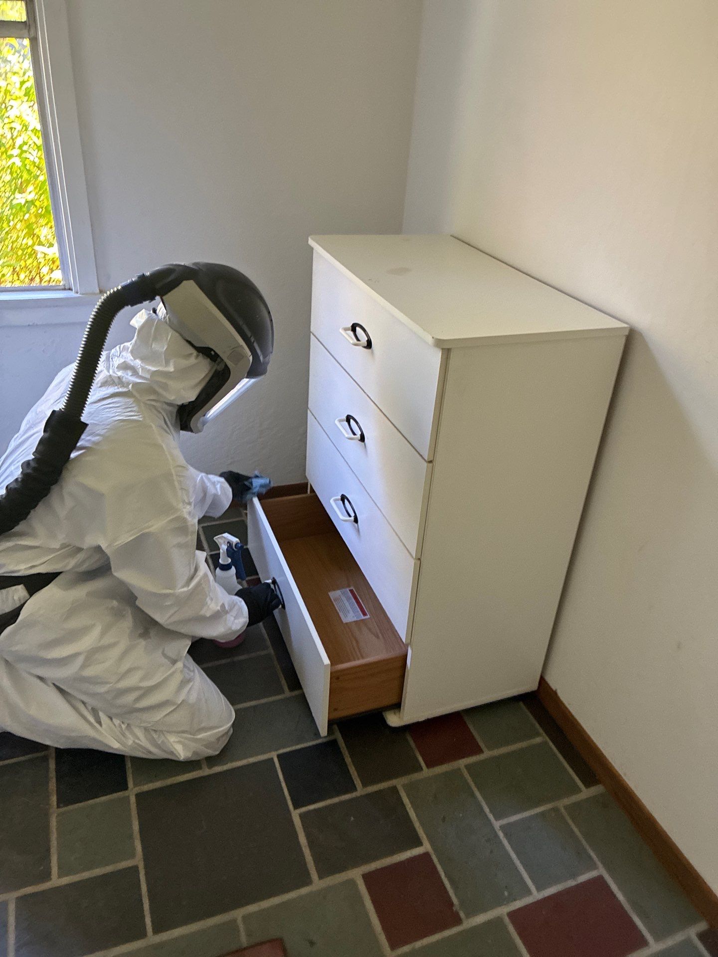Project in Novato by 911 Hazmat Cleanup 