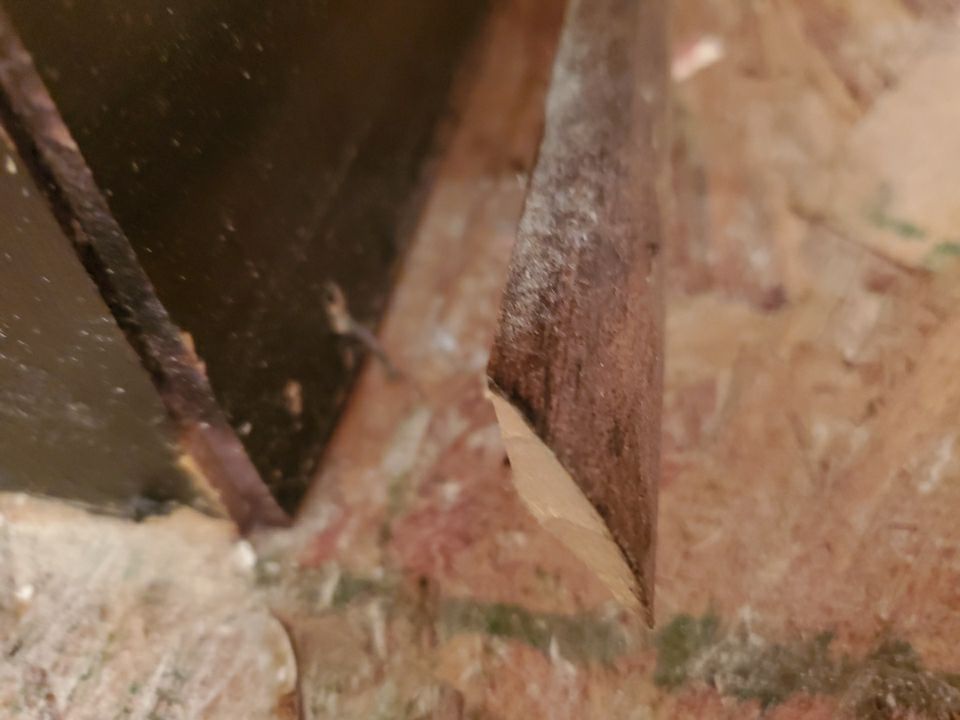 From Flooded to Flawless: A Holly Springs Bathroom Restoration by Elite Remodeling and Design LLC