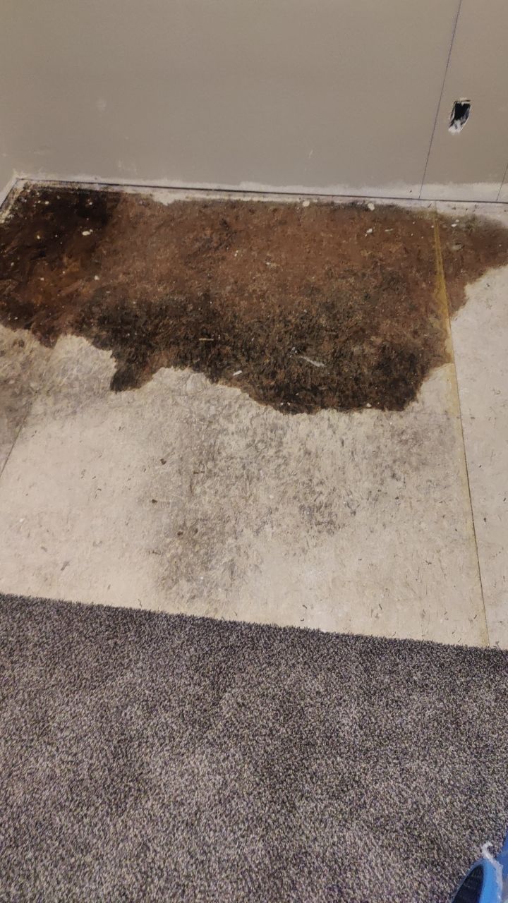 Water Damage Restoration by Accountable Home Services