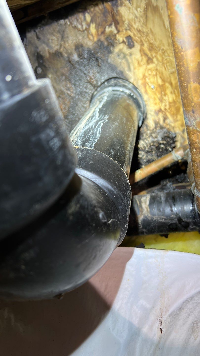 Mold Remediation by Accountable Home Services