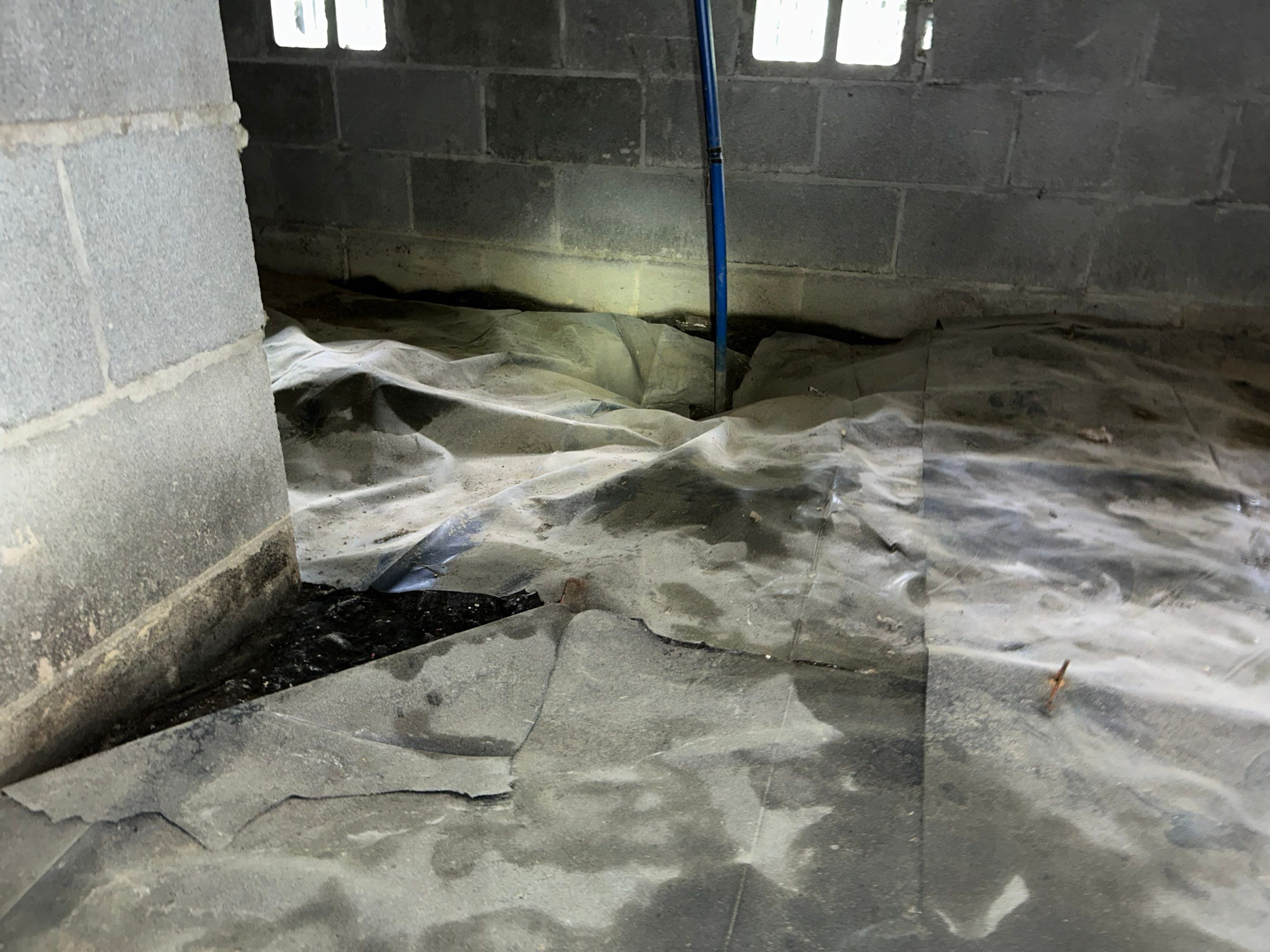 Premium Encapsulation with 20Mil, Borafoam insulation and Light System. by Impact Crawlspace