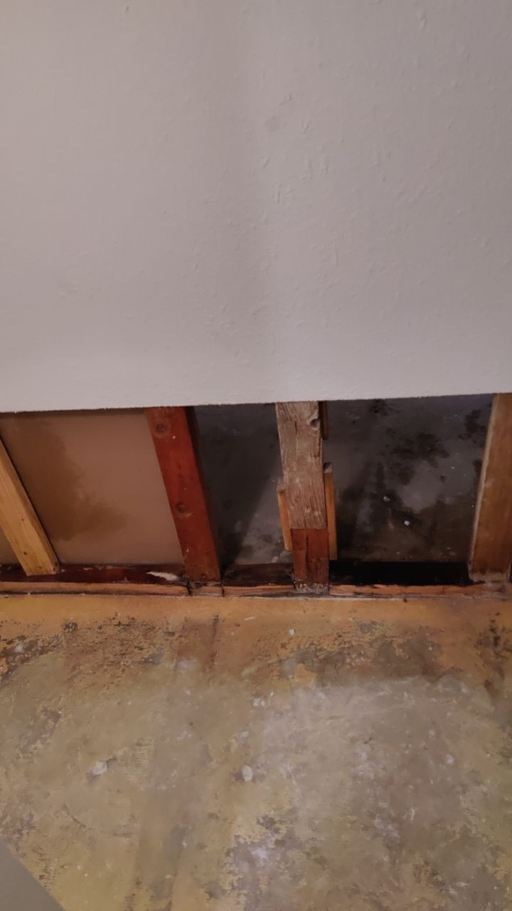 Water Damage by Accountable Home Services