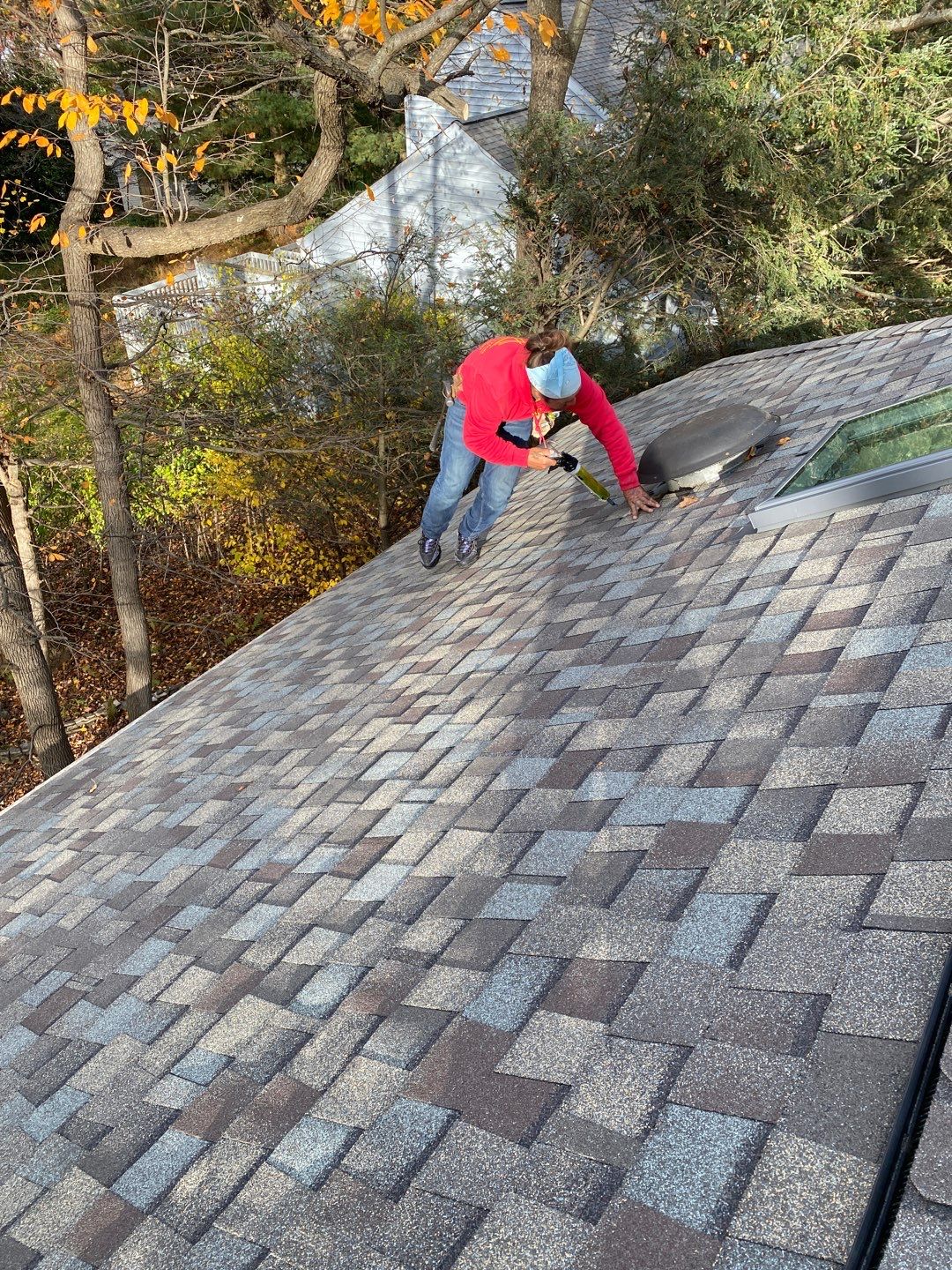 Install new shingles and new skylights  by Alpha Design Services